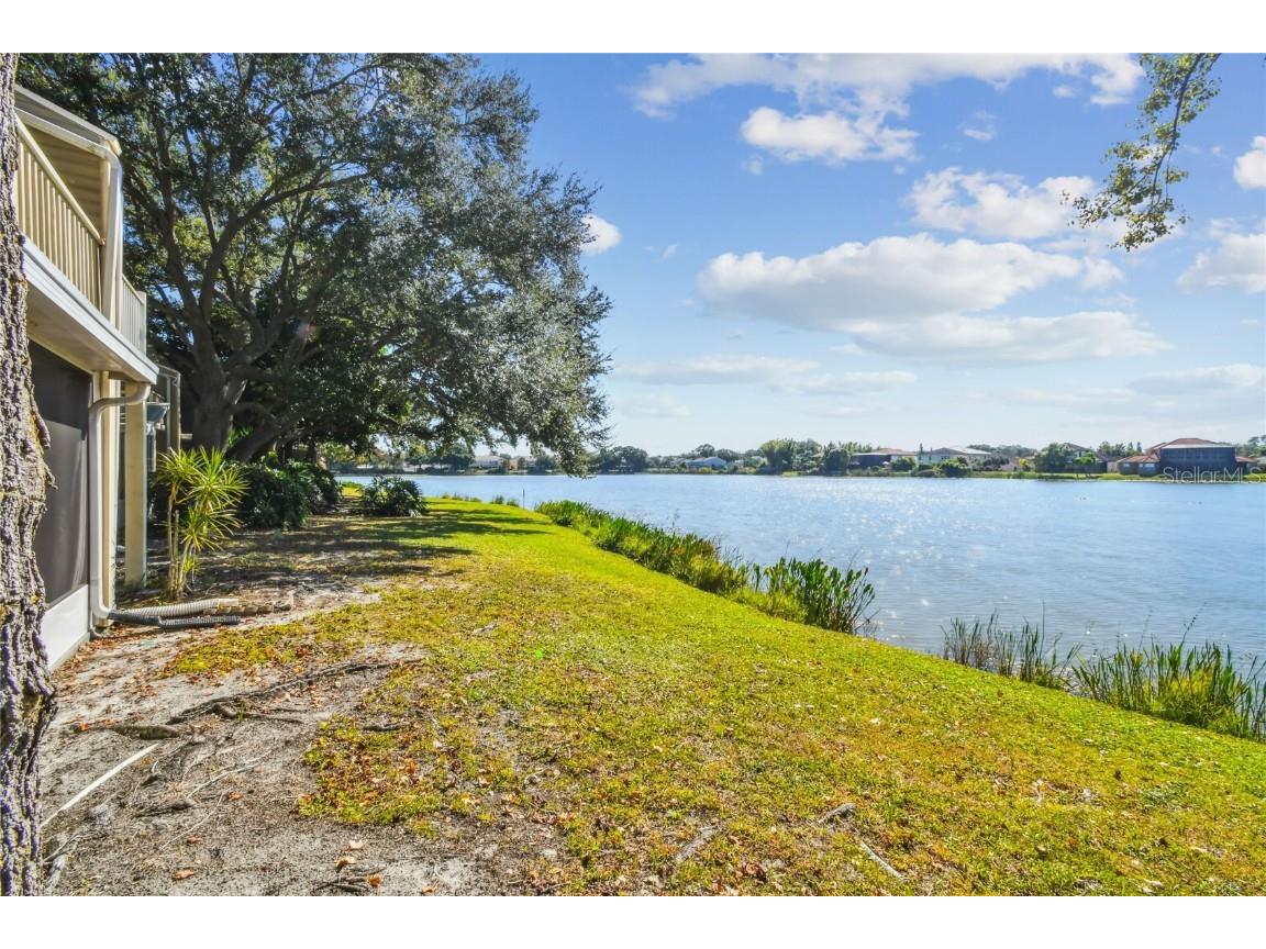 6916 Lake Place Court Tampa FL 33634 TB8445561 image8
