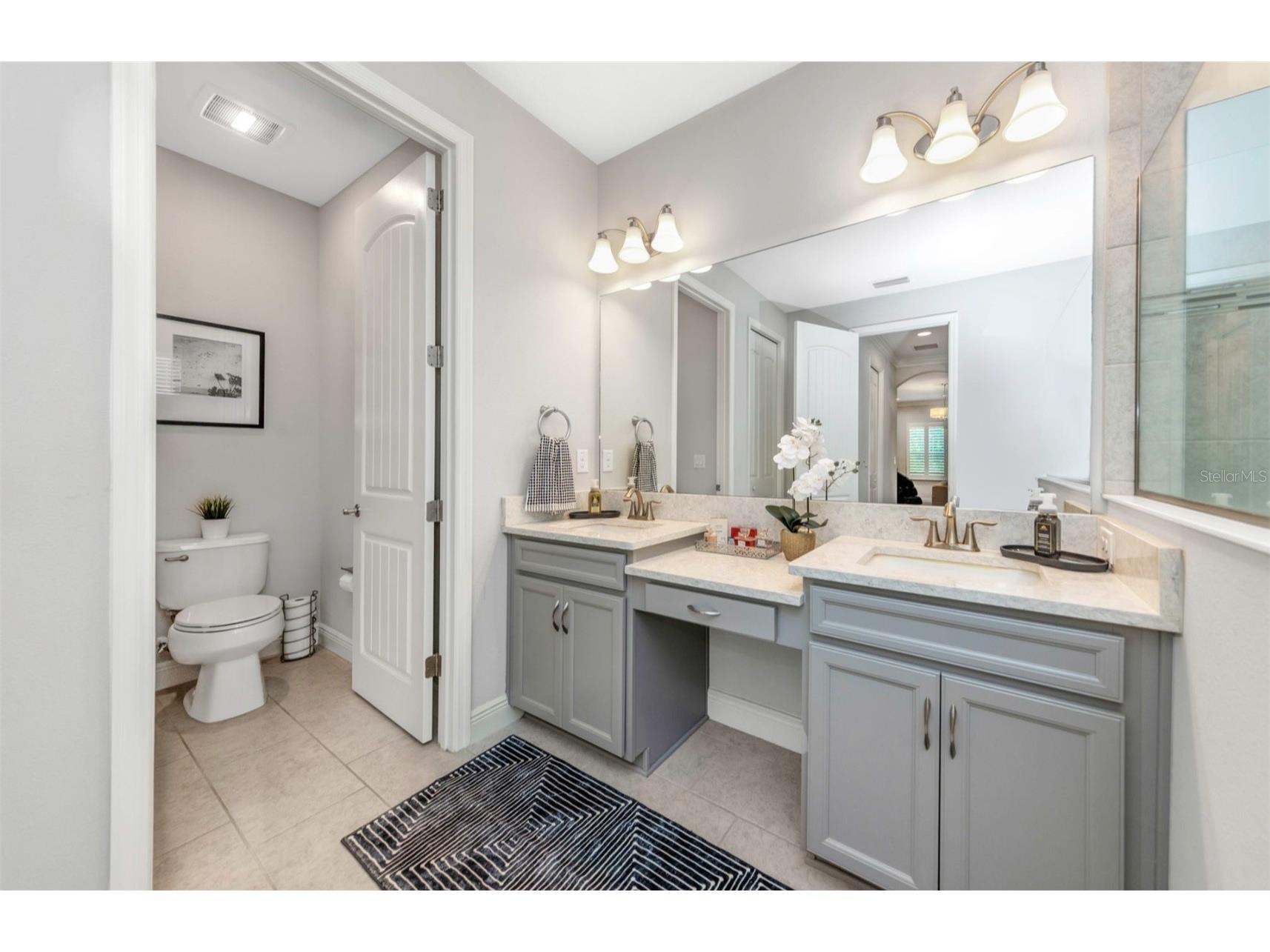 6916 Neopolitan Court Apollo Beach FL 33572 TB8493573 image27