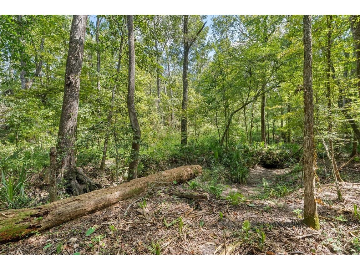 6916 NW 67th Avenue Gainesville FL 32653 GC533777 image44