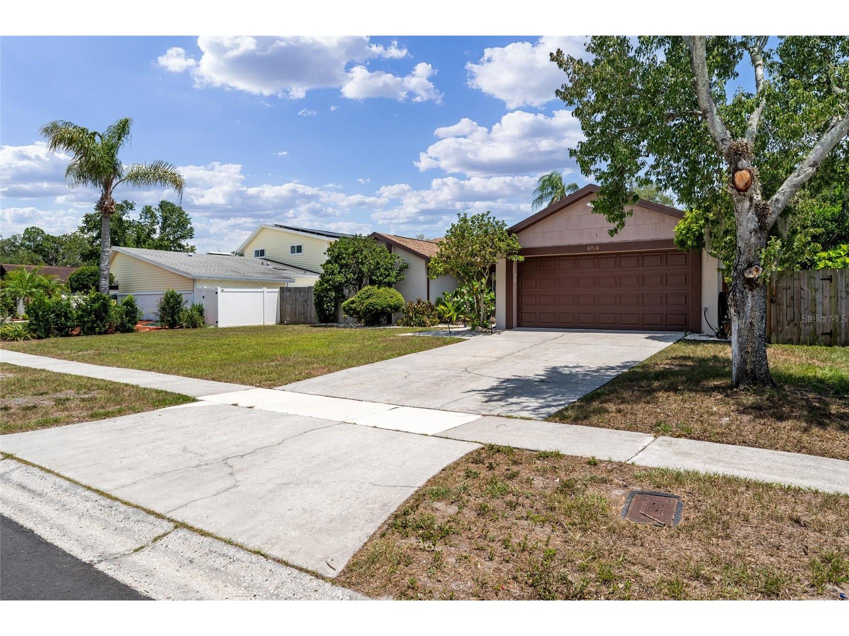 6916 Williams Drive Tampa FL 33634 TB8522066 image3