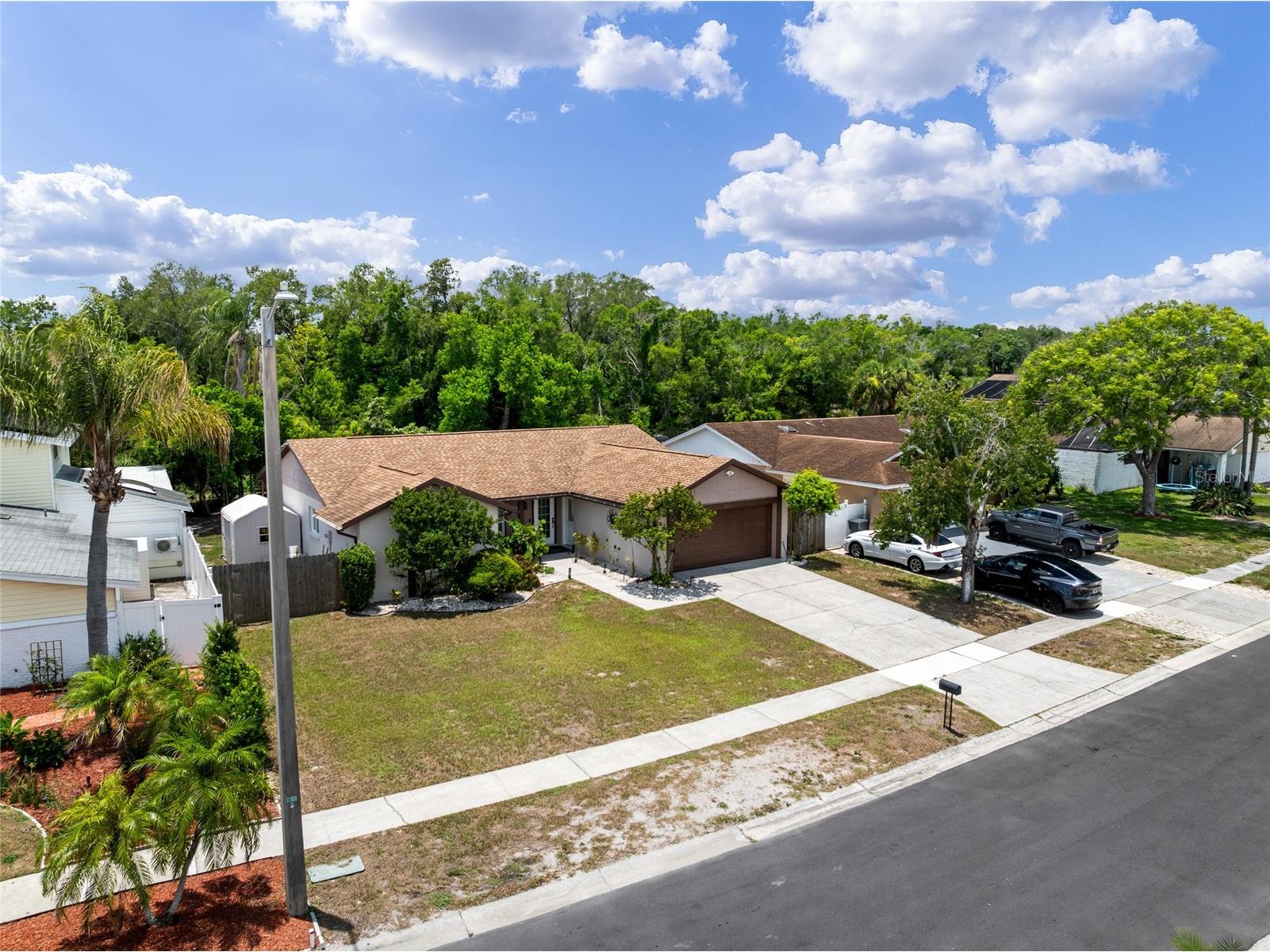 6916 Williams Drive Tampa FL 33634 TB8522066 image63
