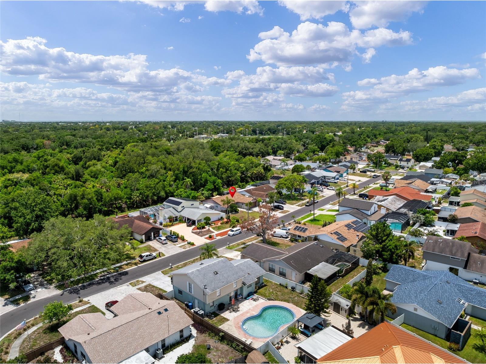 6916 Williams Drive Tampa FL 33634 TB8522066 image70