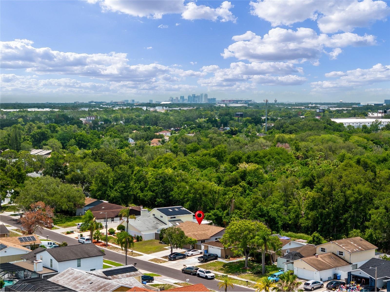6916 Williams Drive Tampa FL 33634 TB8522066 image73
