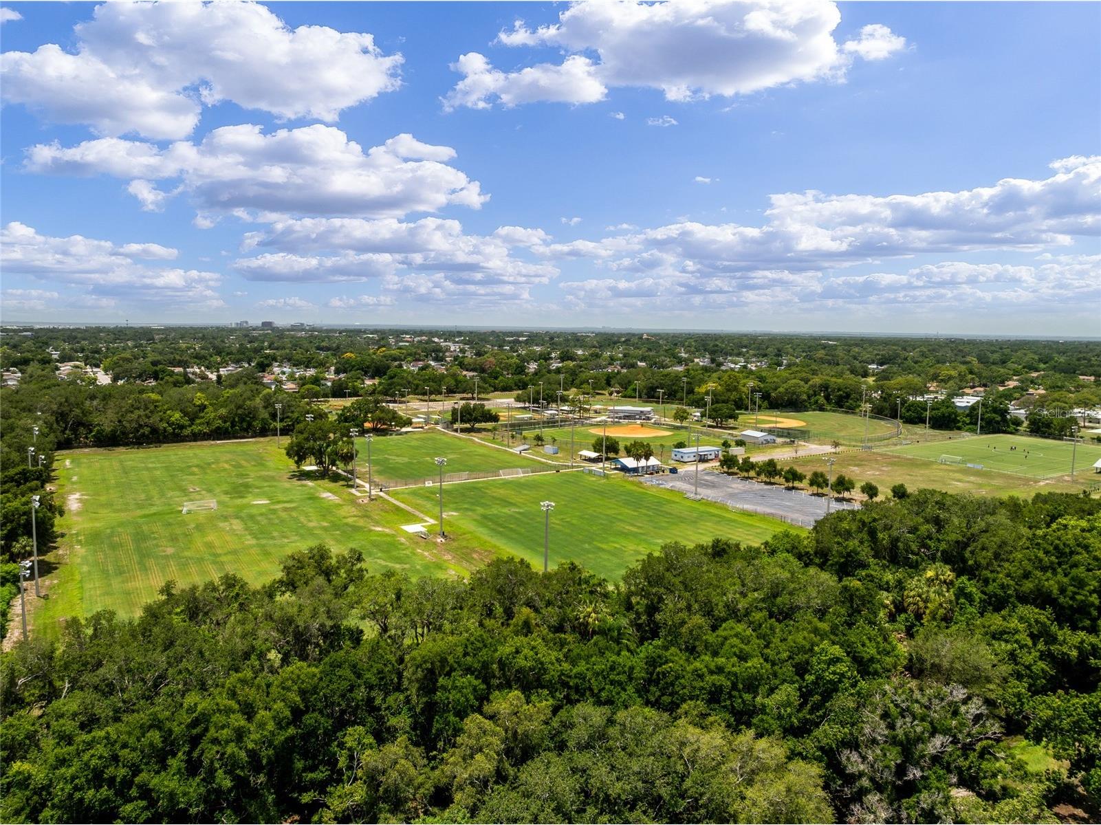 6916 Williams Drive Tampa FL 33634 TB8522066 image74