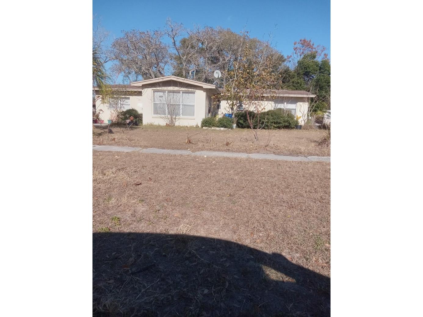 6917 Bream Street Tampa FL 33617 A4682261 image1
