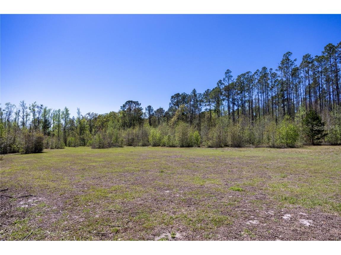6917 NW 254th Avenue Alachua FL 32615 GC529224 image33