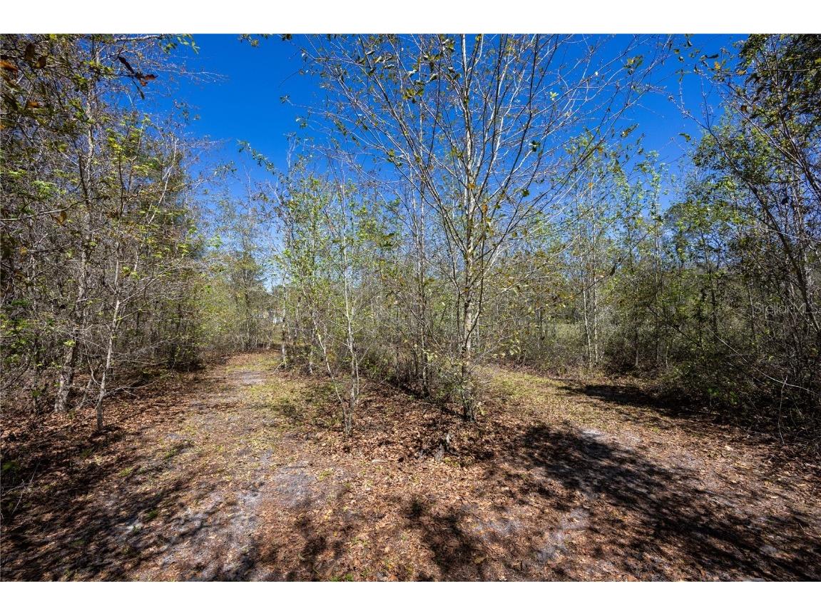 6917 NW 254th Avenue Alachua FL 32615 GC529224 image78