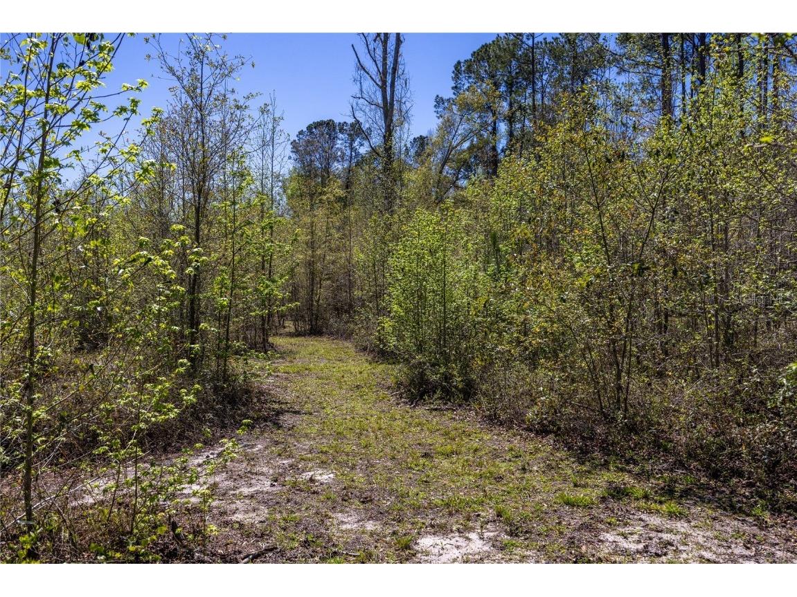 6917 NW 254th Avenue Alachua FL 32615 GC529224 image79