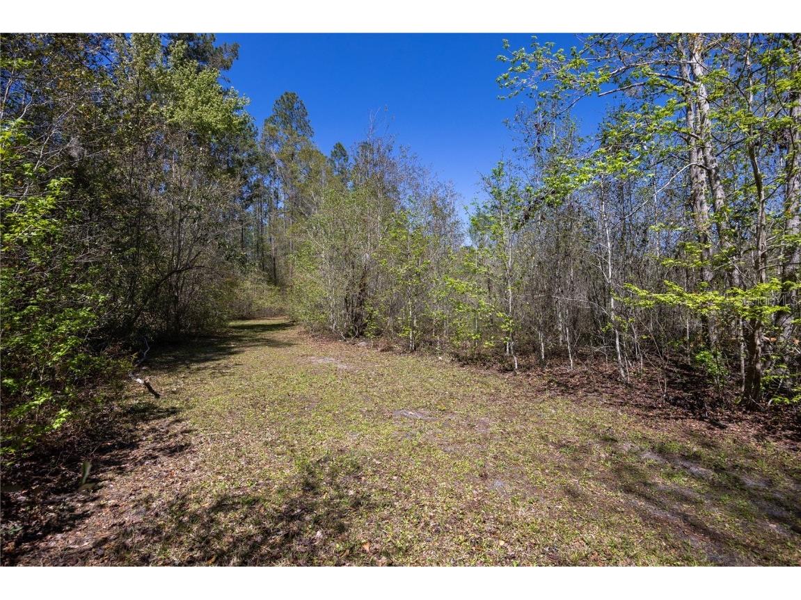 6917 NW 254th Avenue Alachua FL 32615 GC529224 image99