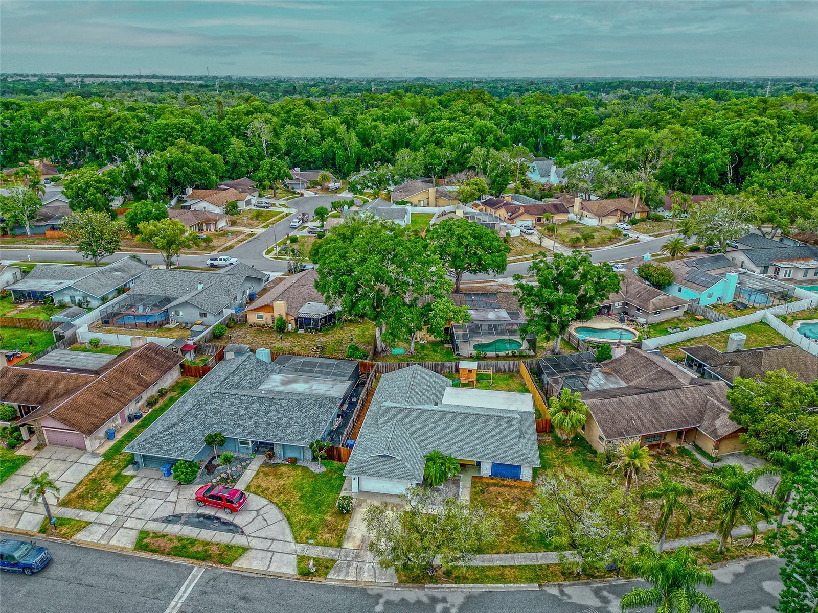 6917 Oldgate Circle New Port Richey FL 34655 TB8508977 image41
