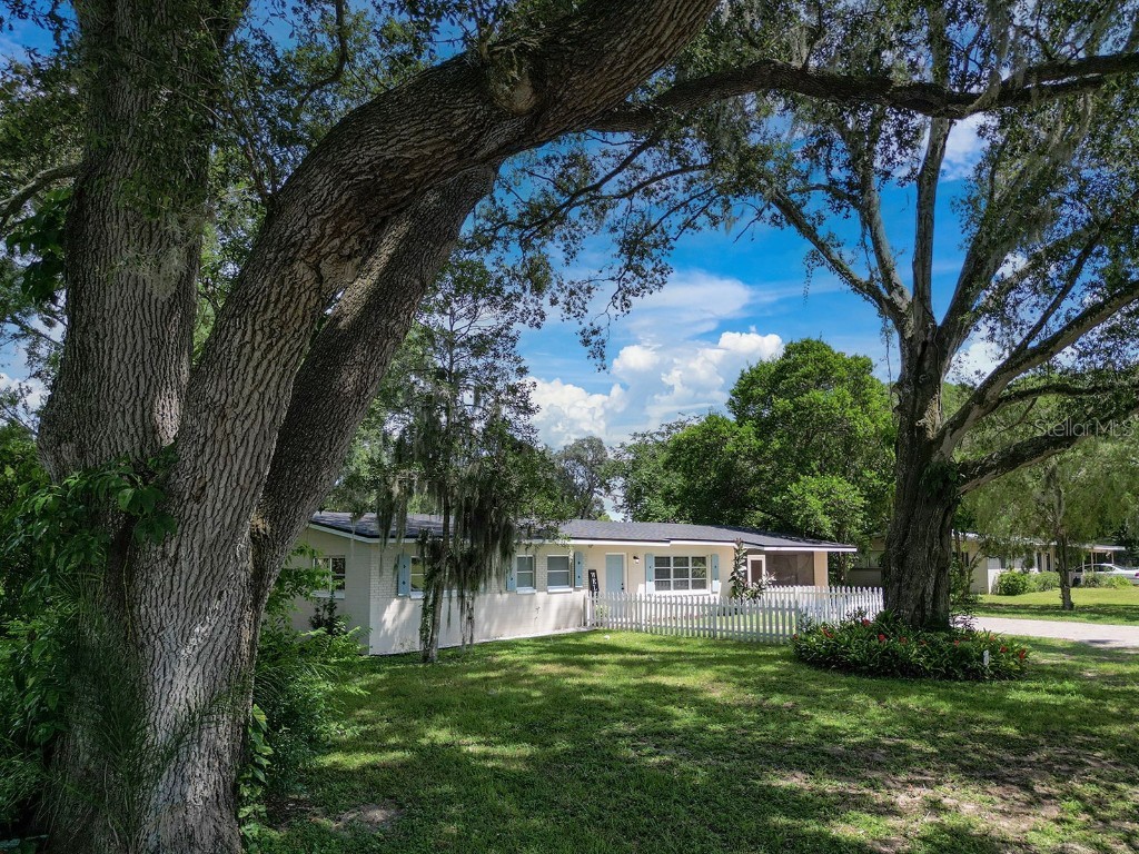 6917 Sadler Road Mount Dora FL 32757 - LAKE OLA O6139539 image1