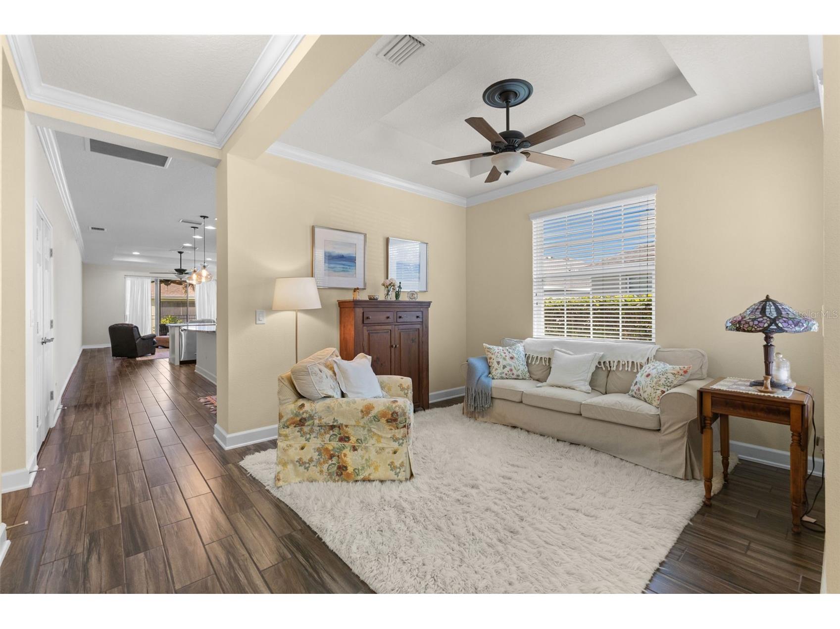6918 Makers Way Apollo Beach FL 33572 TB8500616 image4