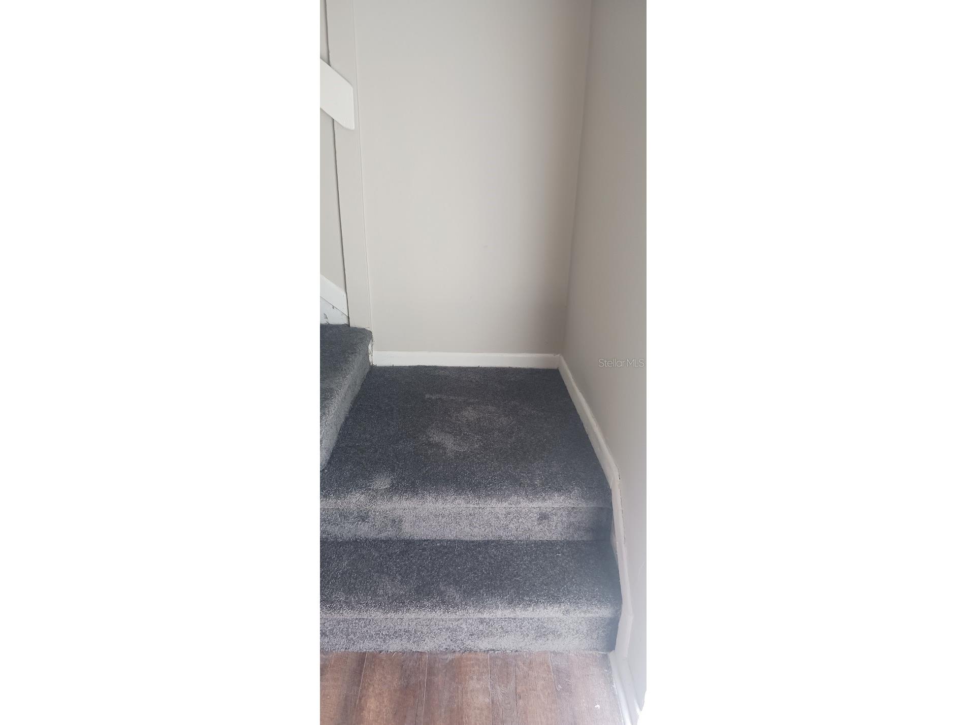 6918 Trout Street Tampa FL 33617 - HILLSBOROUGH RIVER L4963123 image18