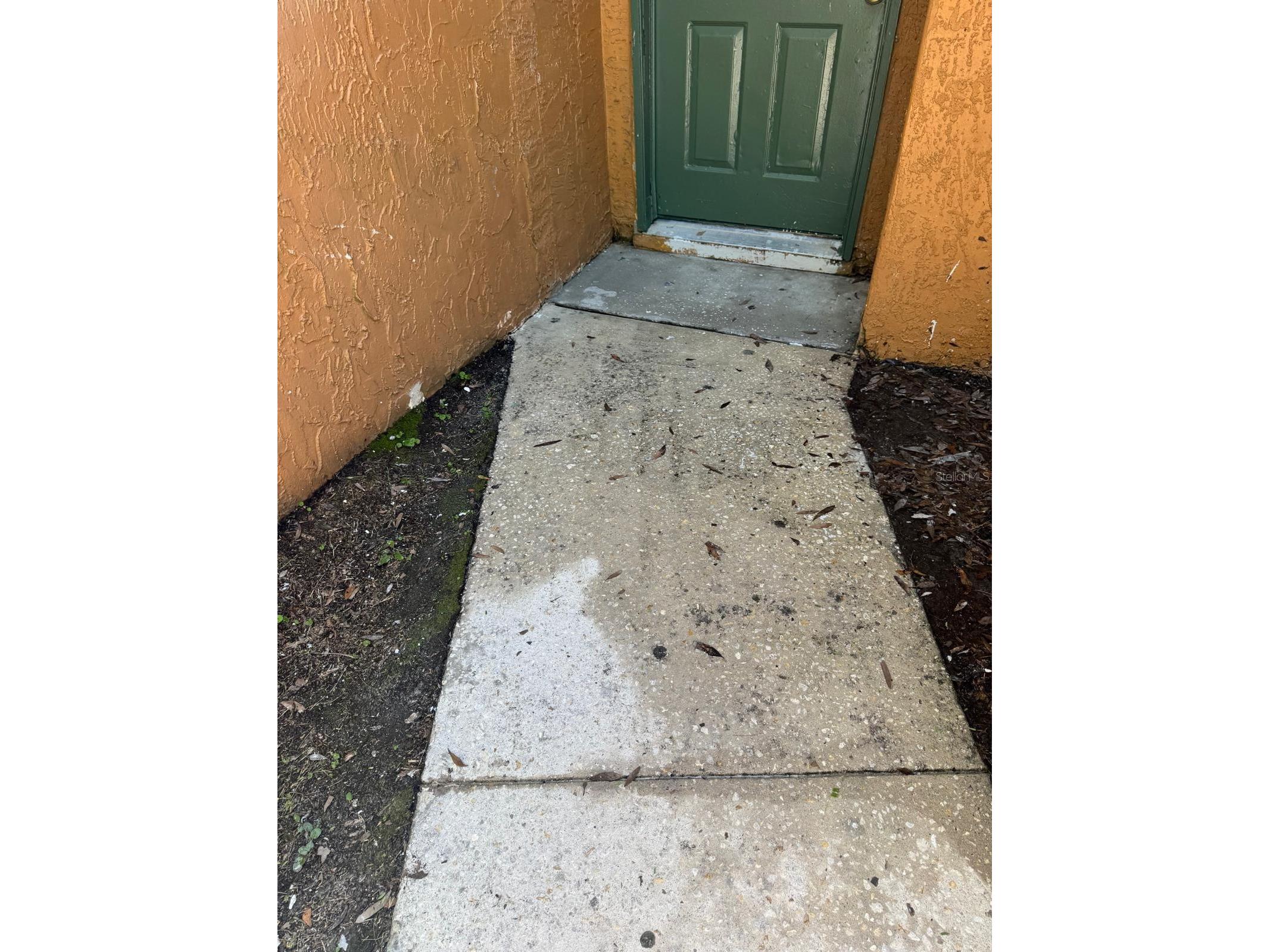 6918 Trout Street Tampa FL 33617 - HILLSBOROUGH RIVER L4963123 image3