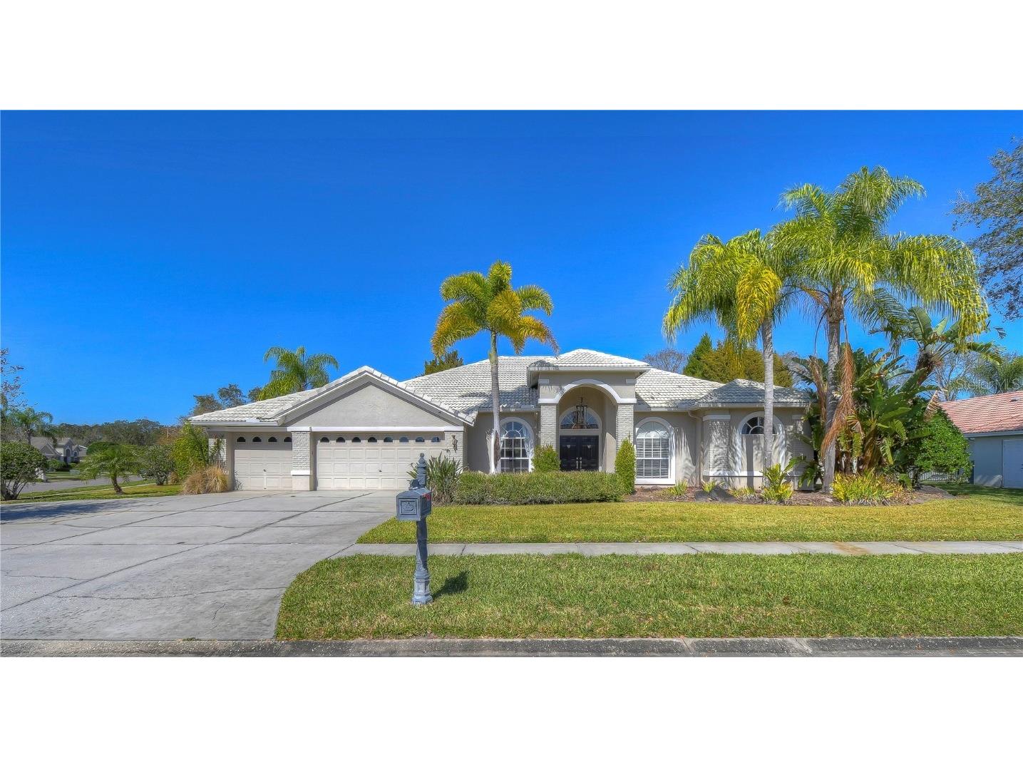 6919 Aqueduct Terrace Odessa FL 33556 T3504225 image1