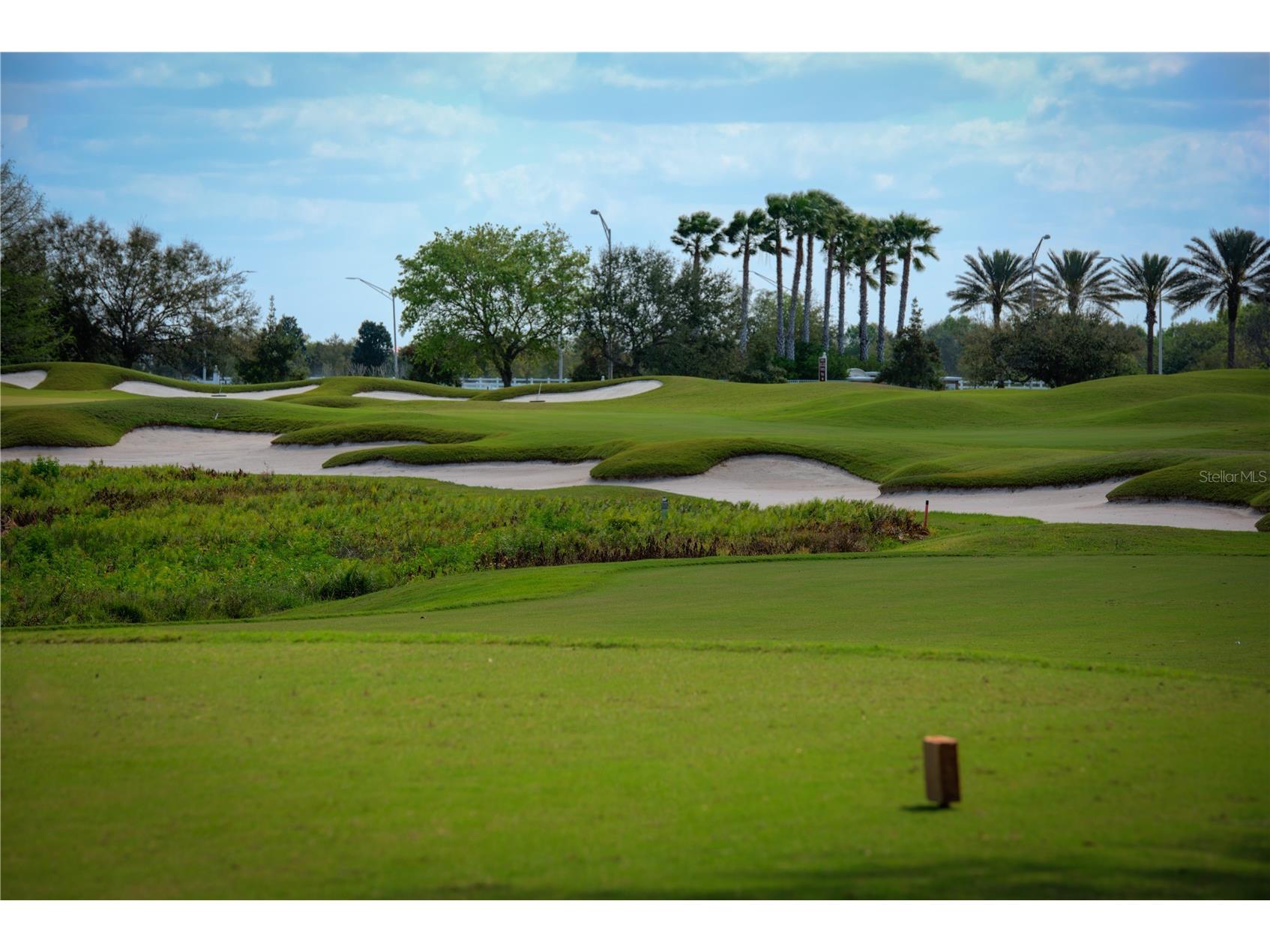 6919 Dominion Lane Lakewood Ranch FL 34202 A4651129 image94