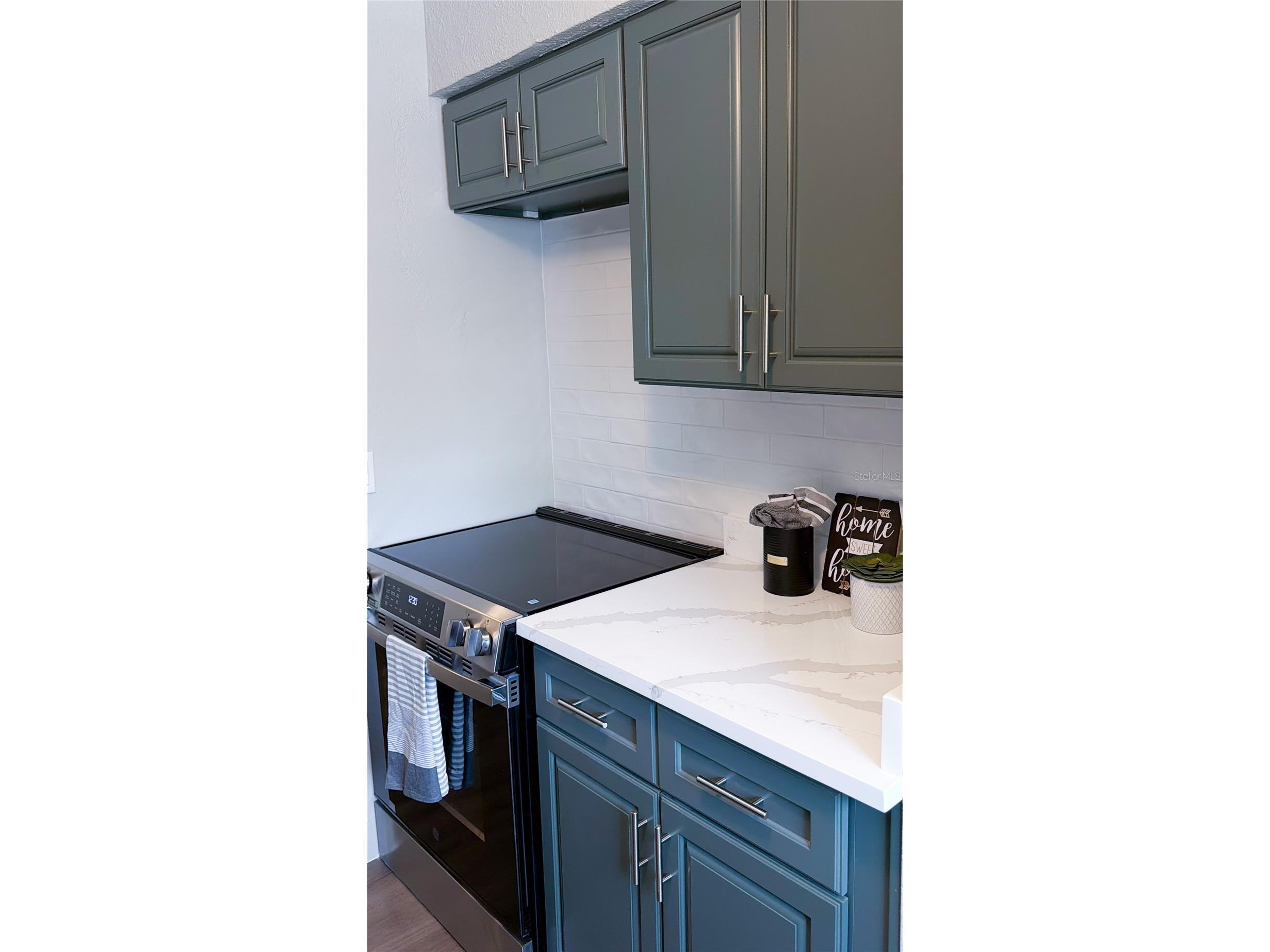 6919 Place De La Paix #6919 Saint Petersburg FL 33707 TB8495121 image11