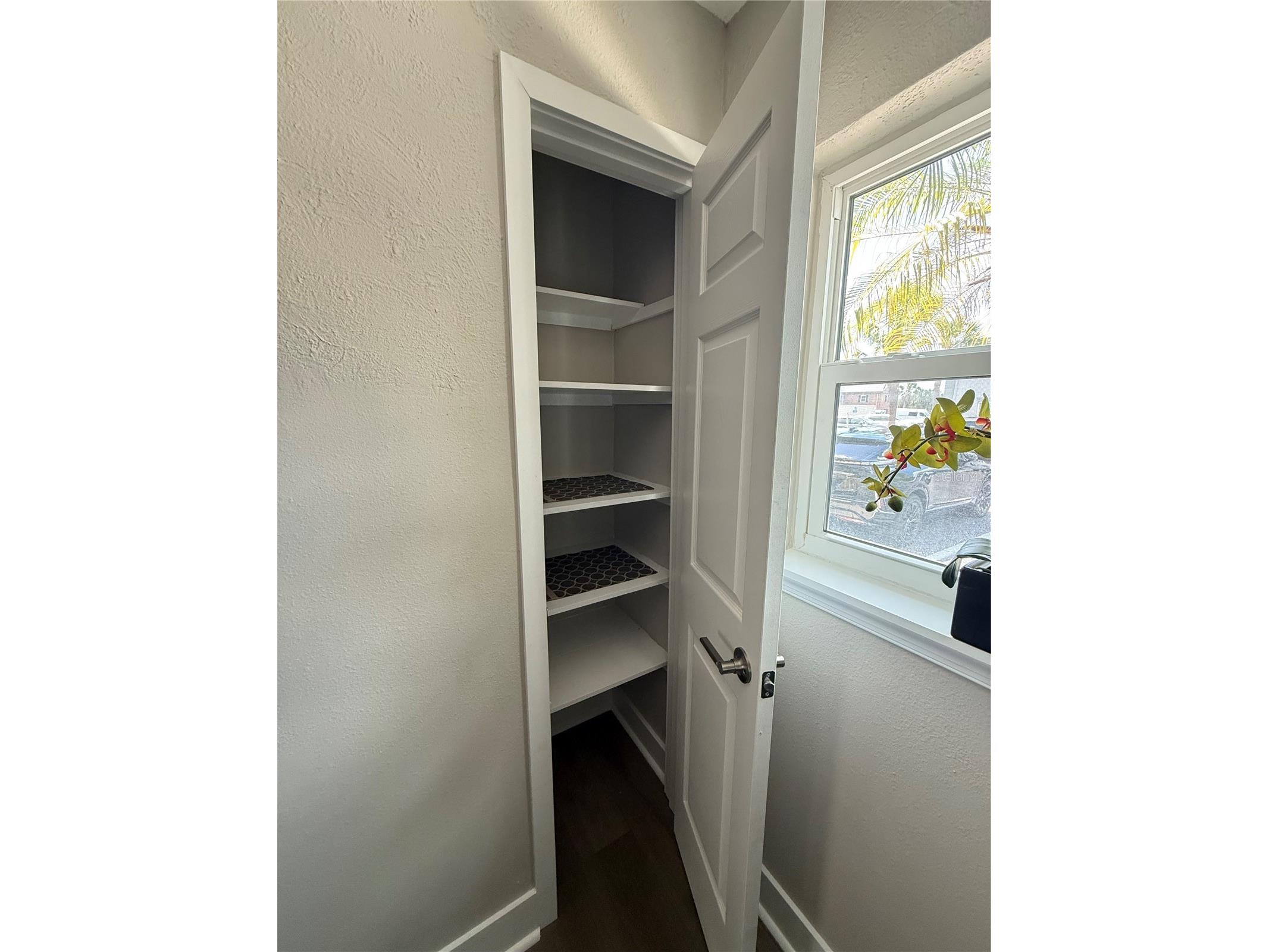 6919 Place De La Paix #6919 Saint Petersburg FL 33707 TB8495121 image13
