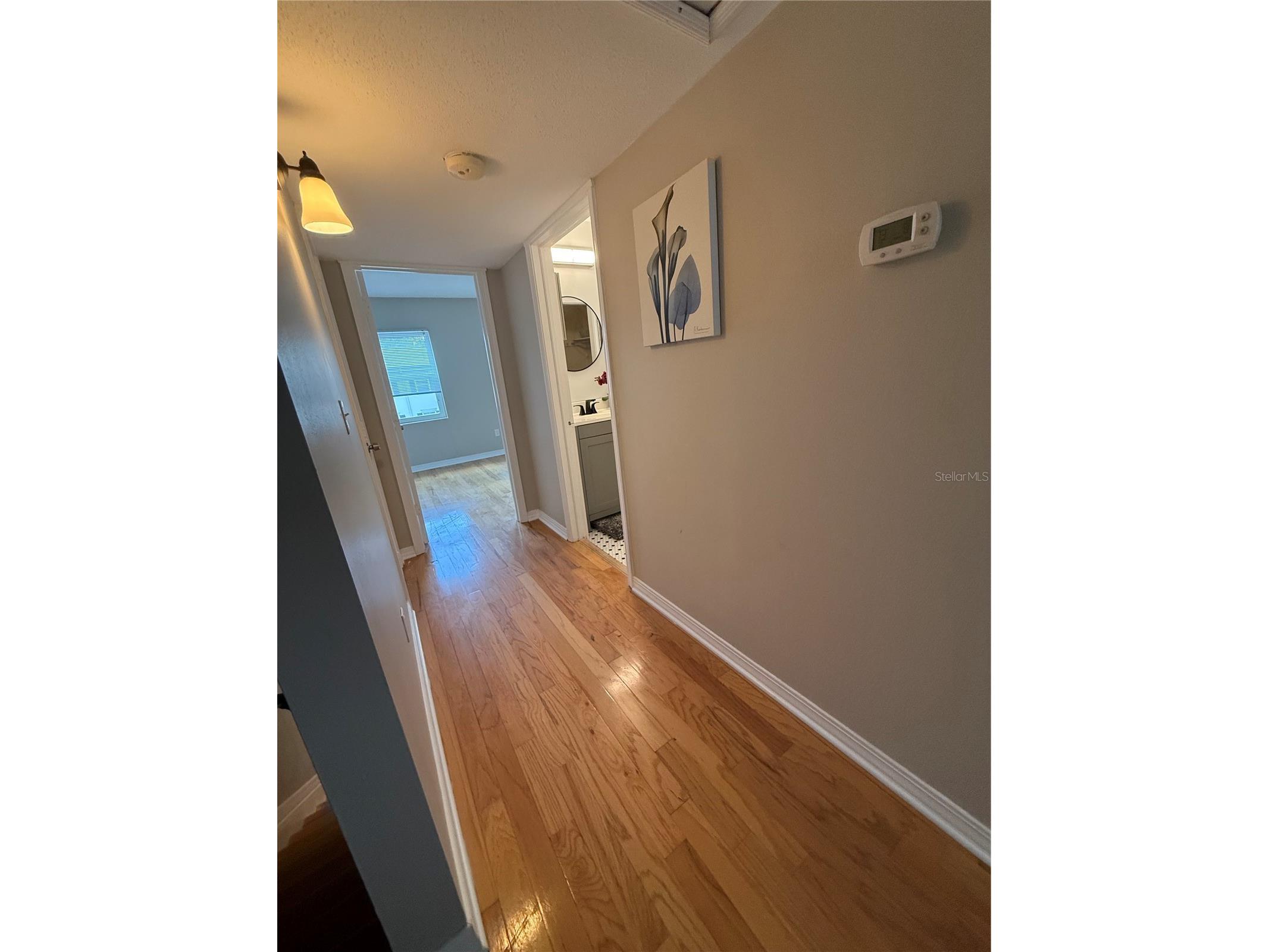 6919 Place De La Paix #6919 Saint Petersburg FL 33707 TB8495121 image28