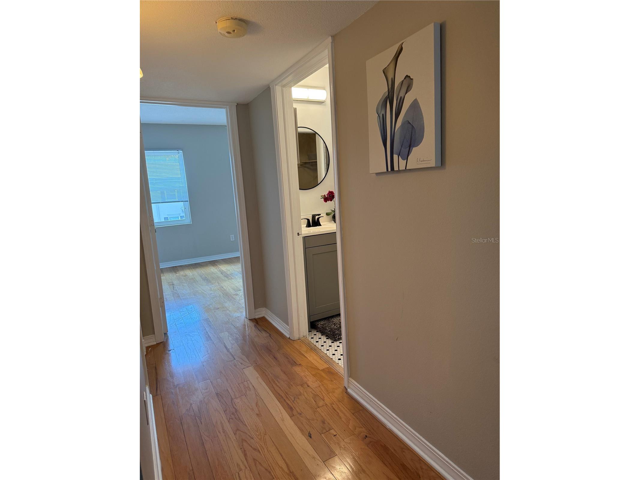 6919 Place De La Paix #6919 Saint Petersburg FL 33707 TB8495121 image29