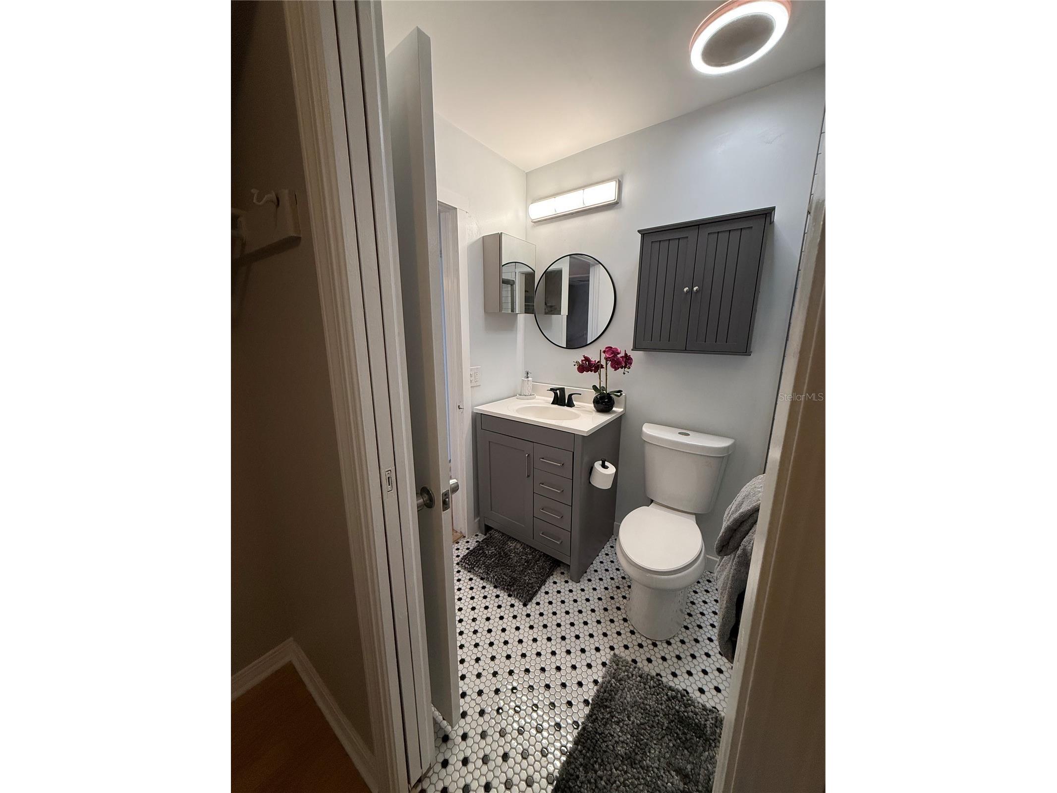6919 Place De La Paix #6919 Saint Petersburg FL 33707 TB8495121 image35