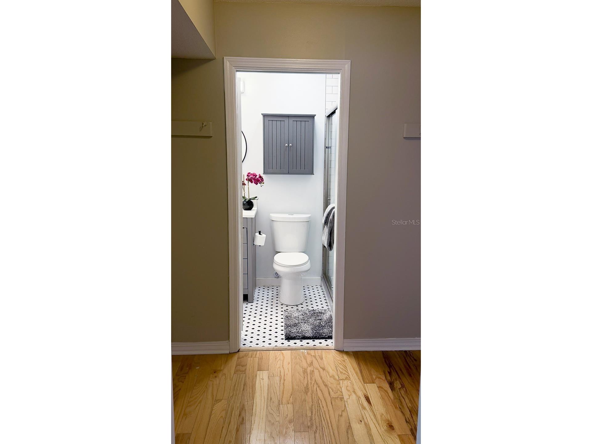 6919 Place De La Paix #6919 Saint Petersburg FL 33707 TB8495121 image37