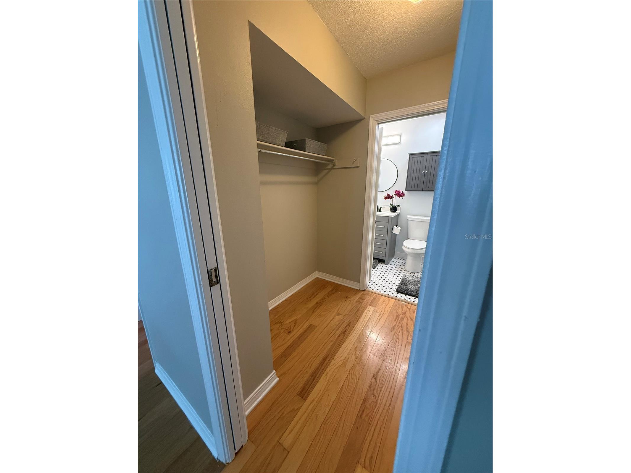 6919 Place De La Paix #6919 Saint Petersburg FL 33707 TB8495121 image46