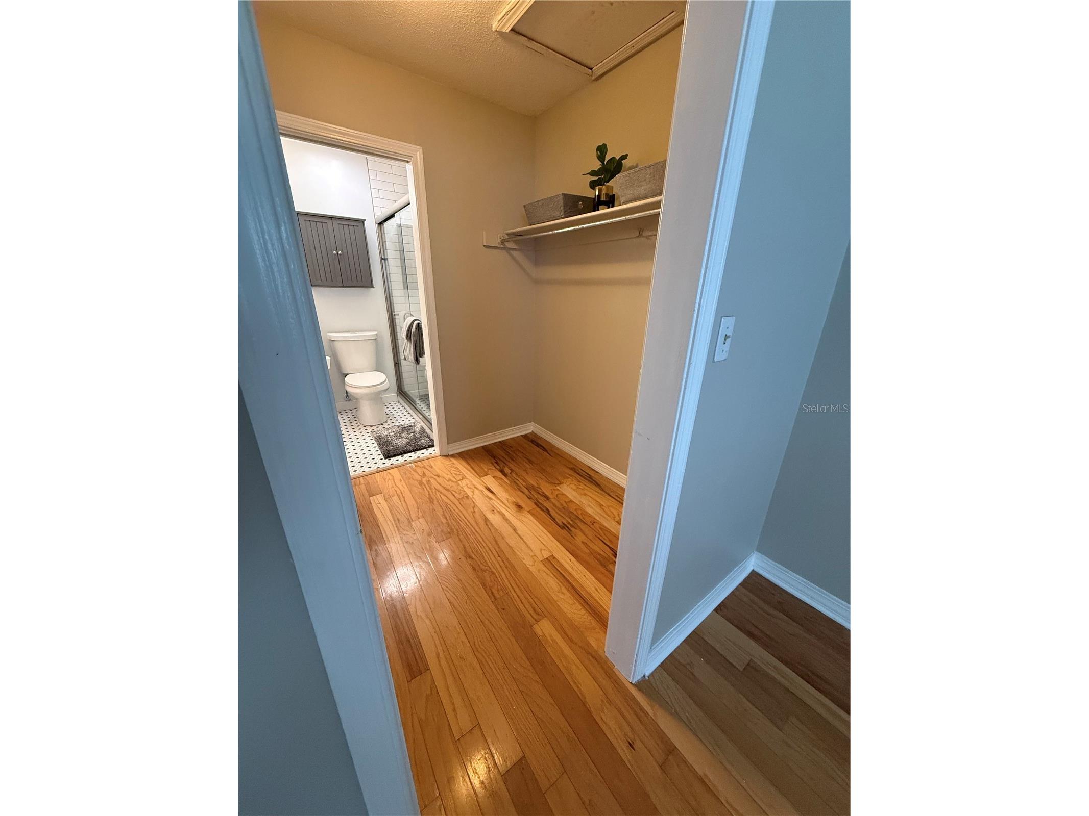 6919 Place De La Paix #6919 Saint Petersburg FL 33707 TB8495121 image47