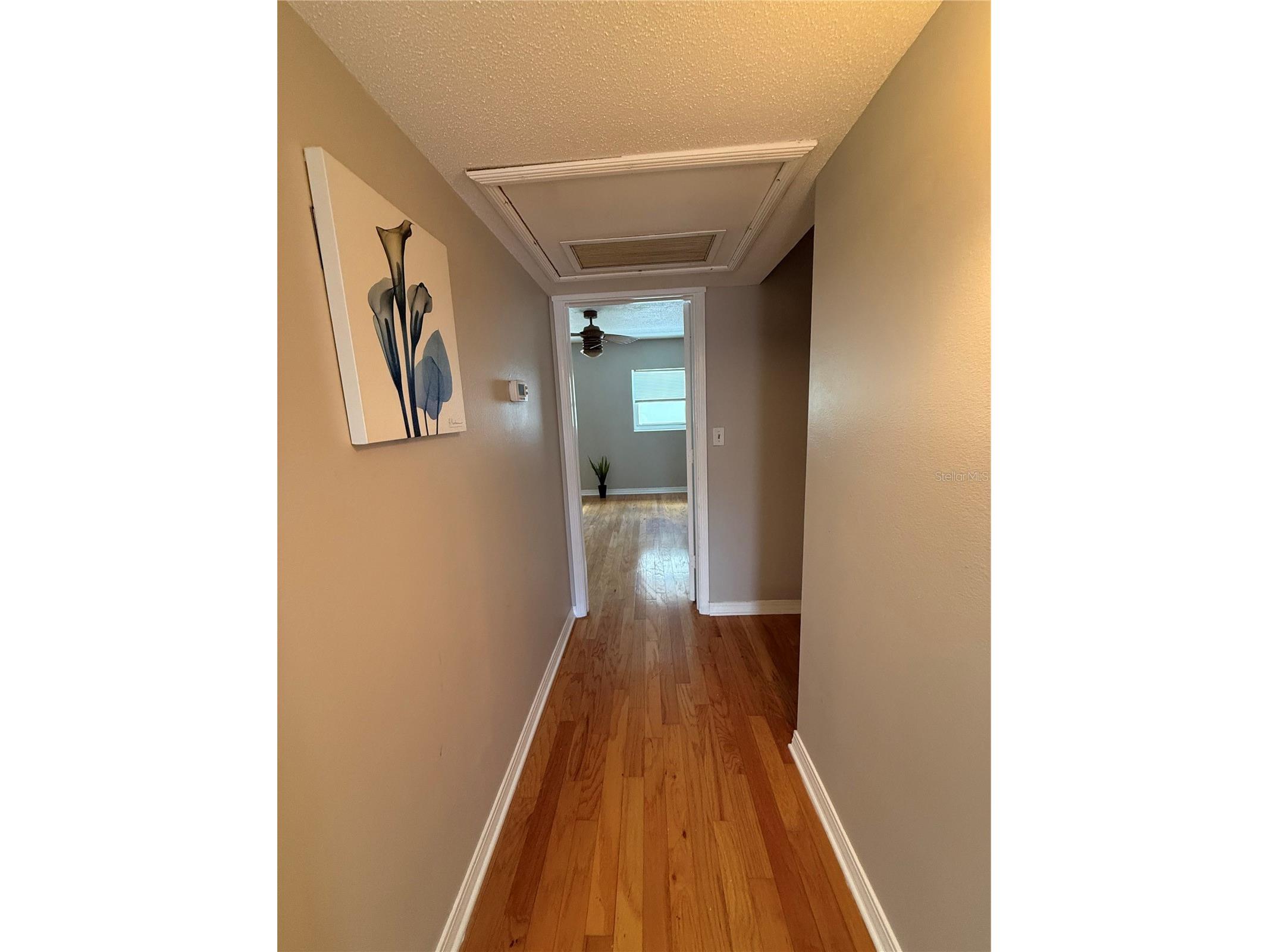 6919 Place De La Paix #6919 Saint Petersburg FL 33707 TB8495121 image53