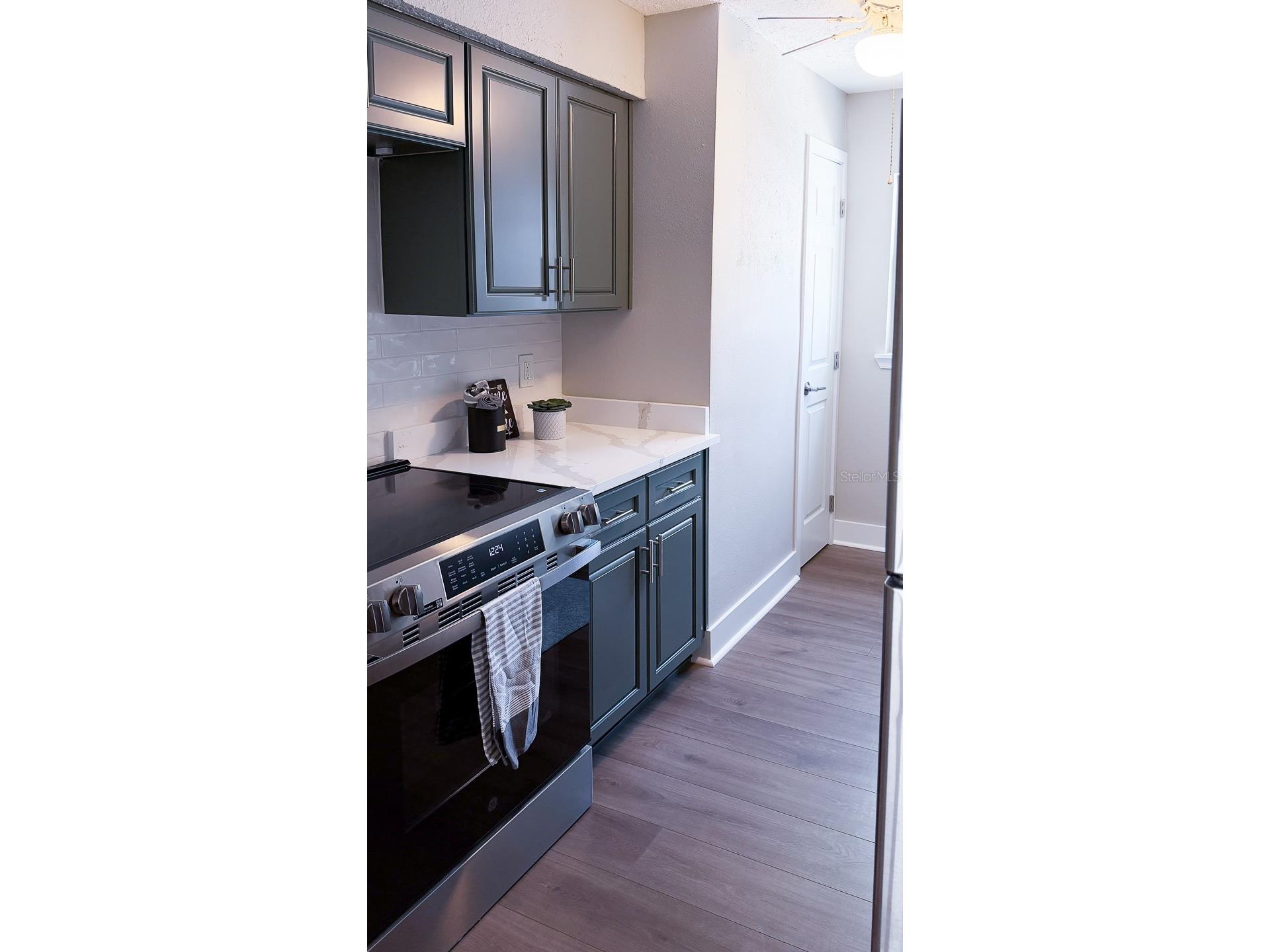 6919 Place De La Paix #6919 Saint Petersburg FL 33707 TB8495121 image6