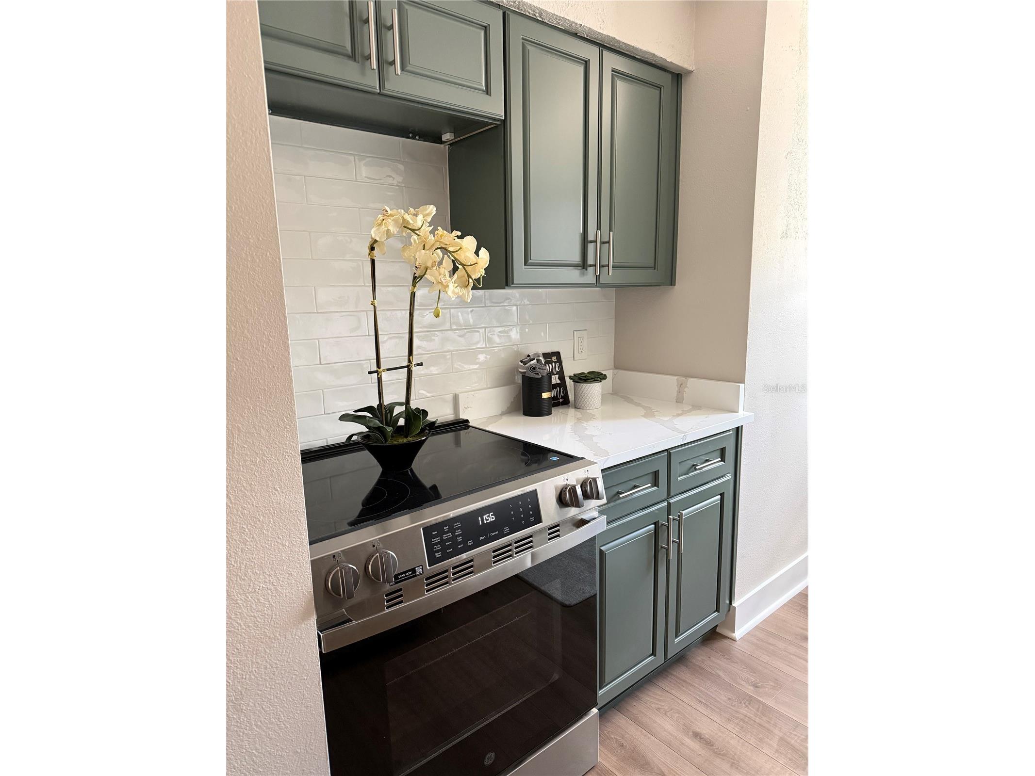 6919 Place De La Paix #6919 Saint Petersburg FL 33707 TB8495121 image7