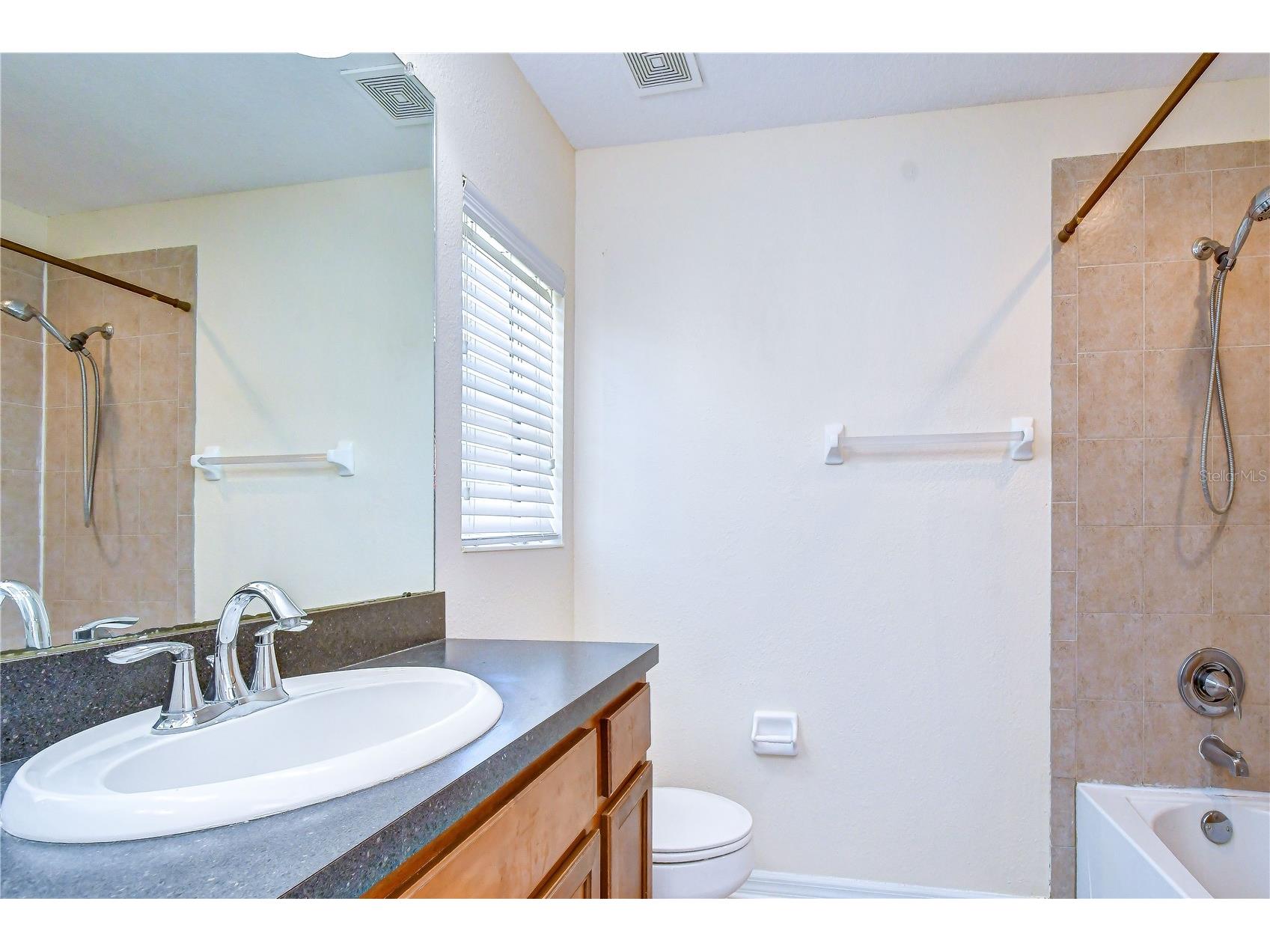6919 Towering Spruce Dr Riverview FL 33578 TB8527000 image21