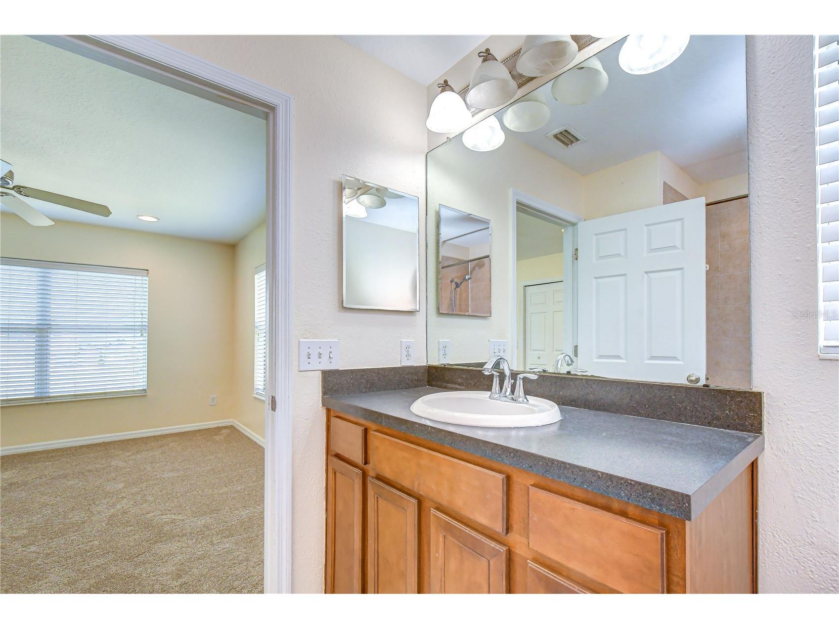 6919 Towering Spruce Dr Riverview FL 33578 TB8527000 image22