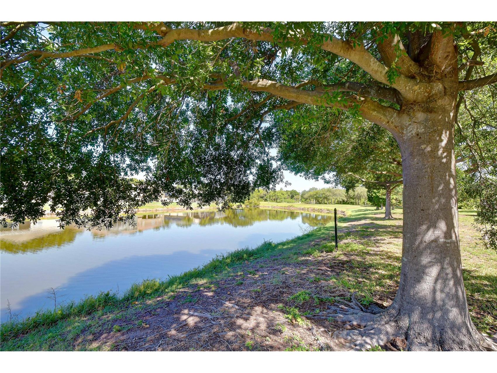 6919 Towering Spruce Dr Riverview FL 33578 TB8527000 image4