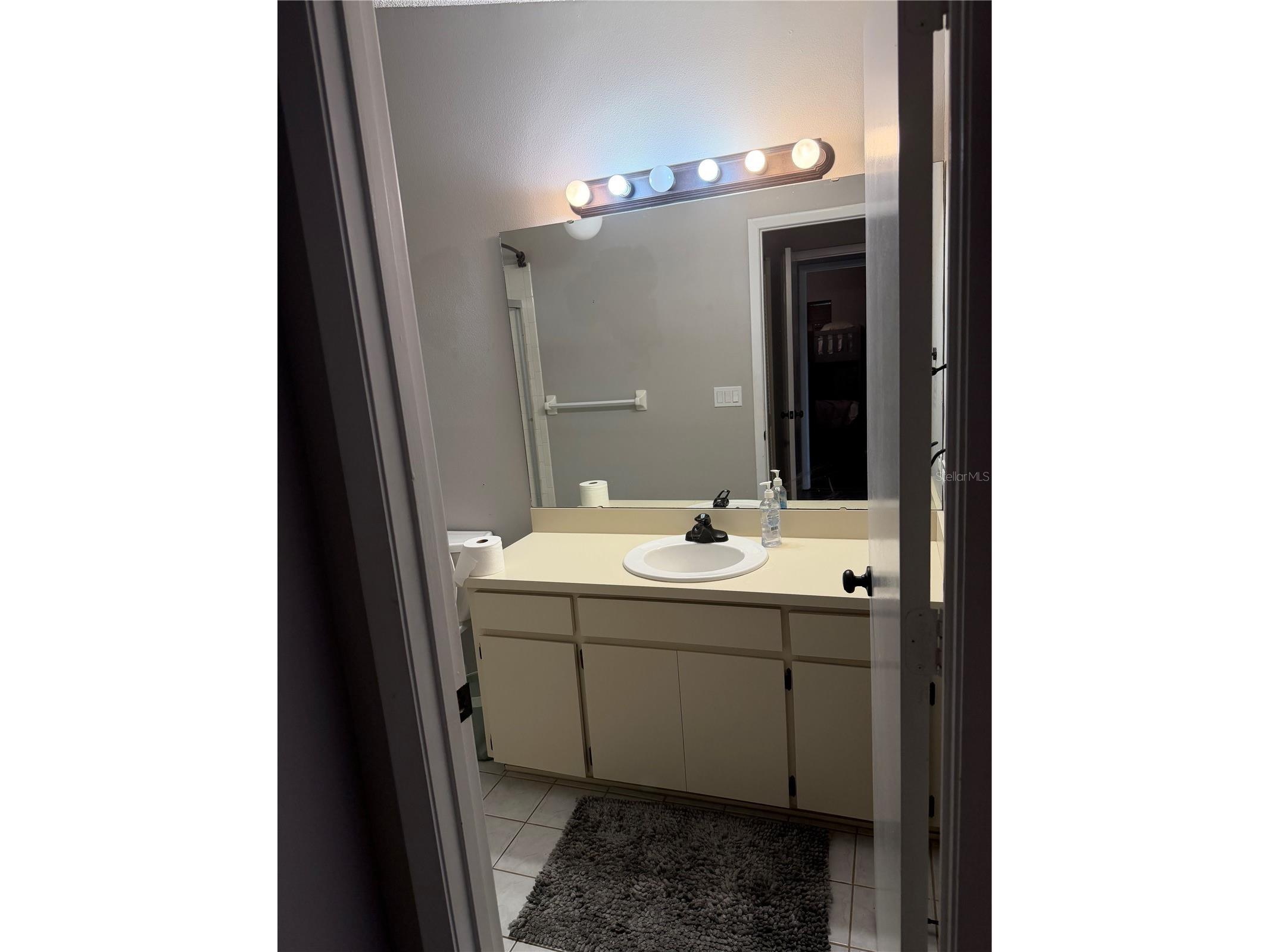 692 Bellingham Place Palm Harbor FL 34684 TB8509972 image10