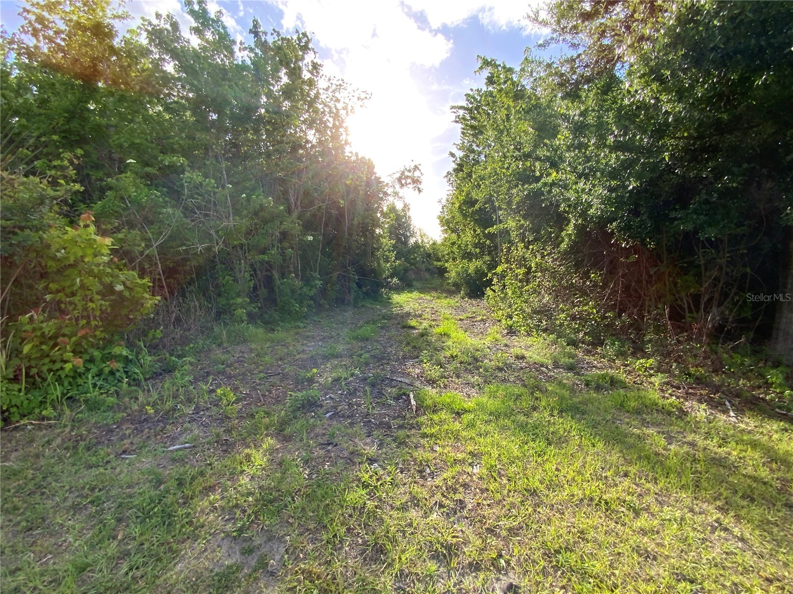 692 Howard Road Auburndale FL 33823 P4938426 image40