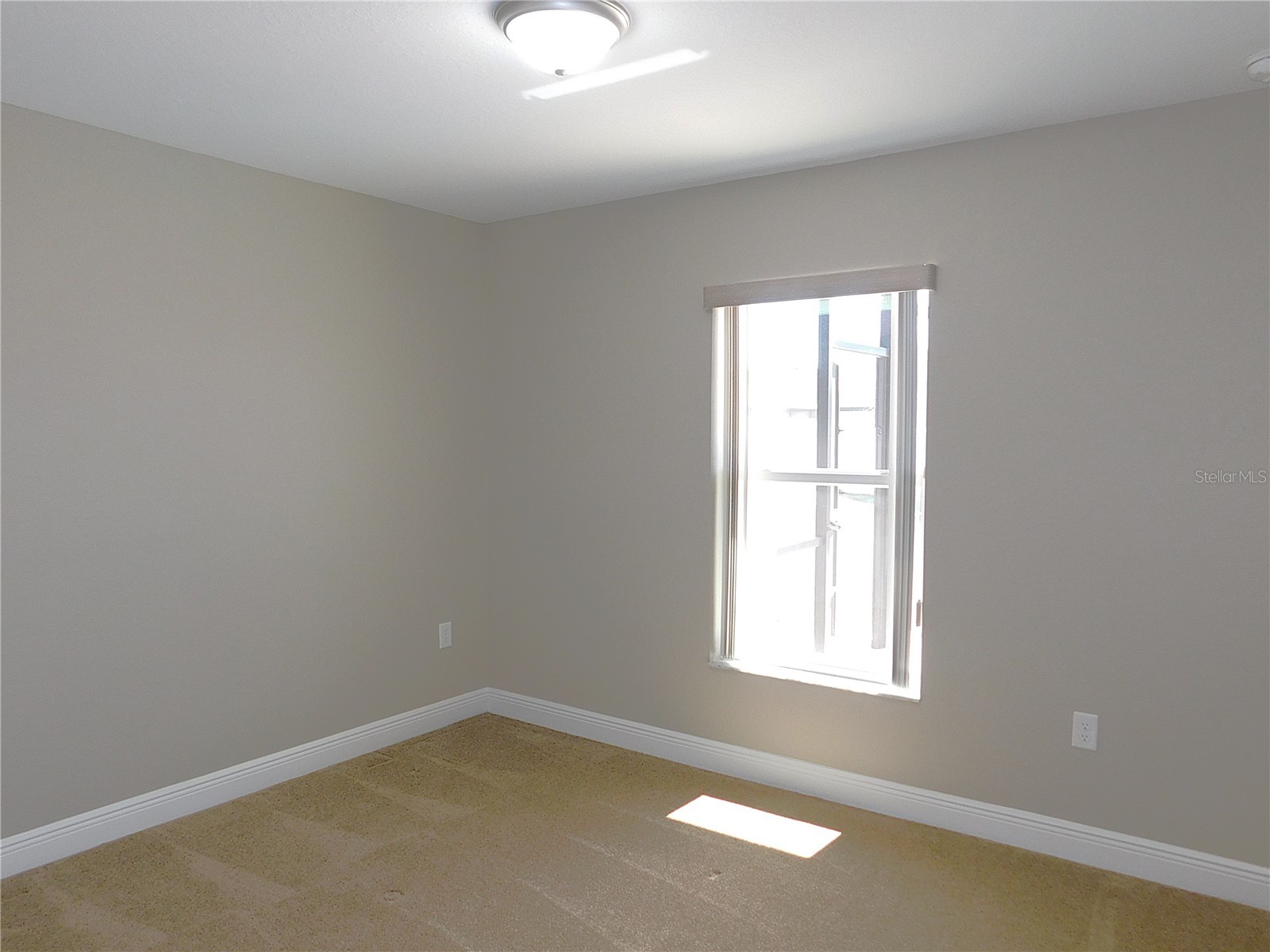 6920 SE 103 Place Belleview FL 34420 OM721023 image44