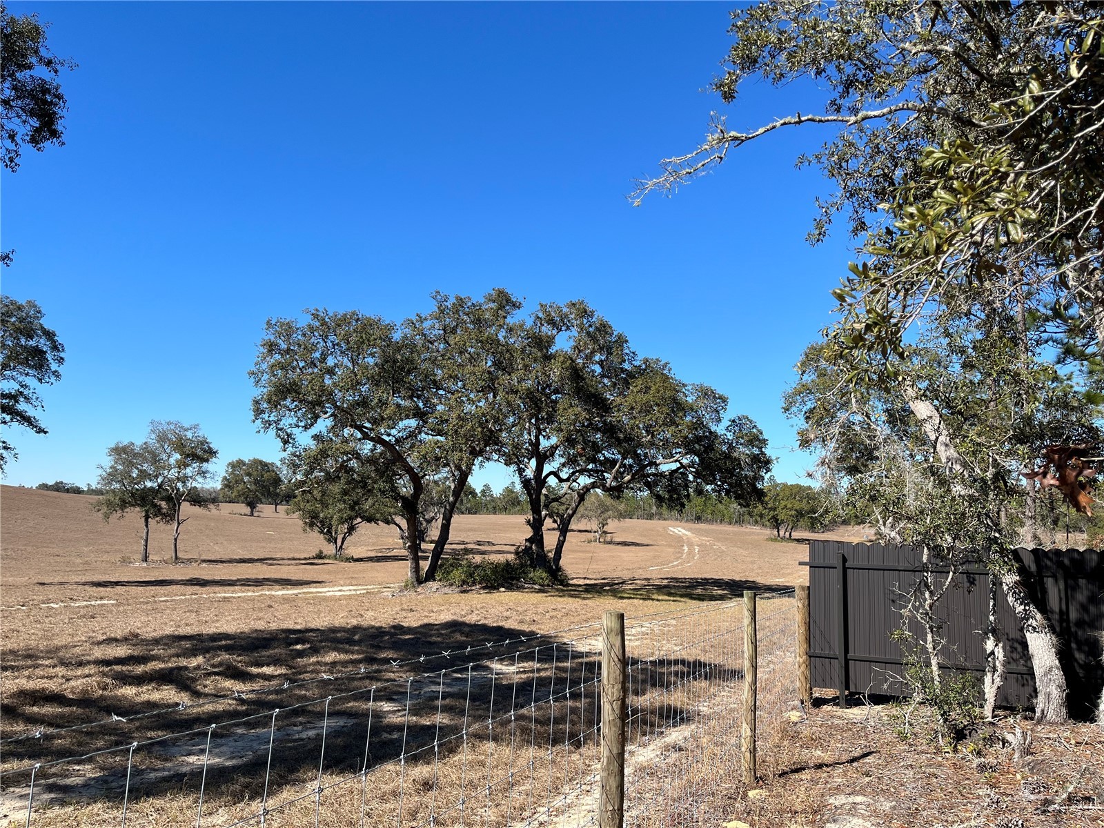 6920 SW 209th Avenue Dunnellon FL 34431 TB8488574 image29