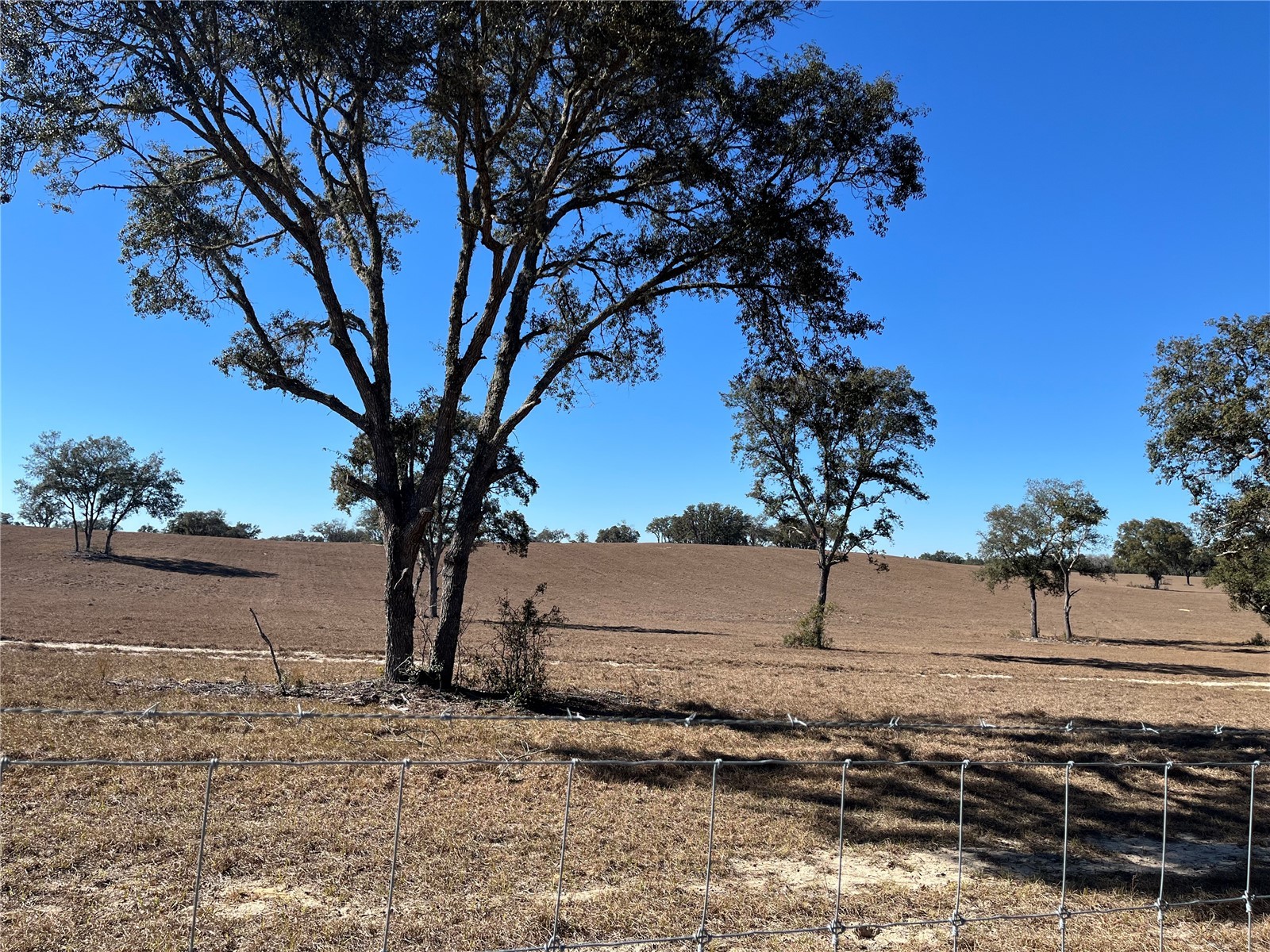 6920 SW 209th Avenue Dunnellon FL 34431 TB8488574 image30