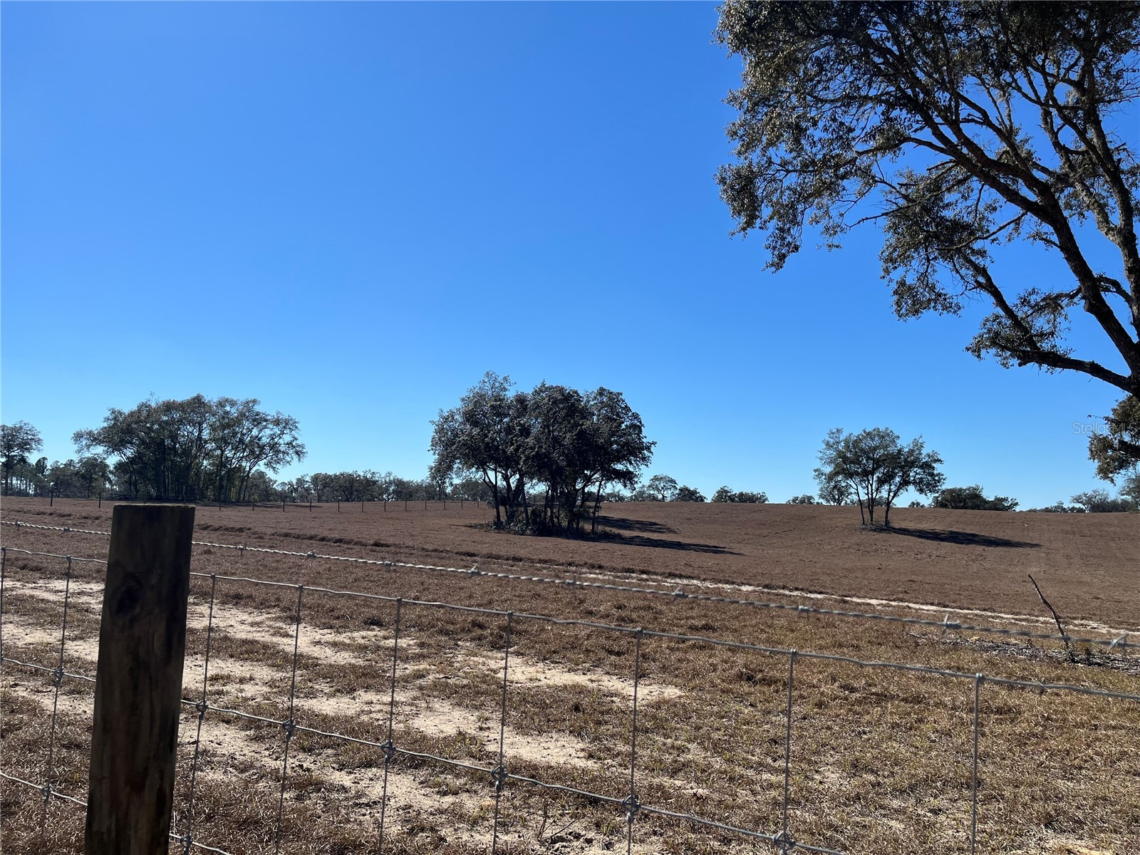 6920 SW 209th Avenue Dunnellon FL 34431 TB8488574 image31