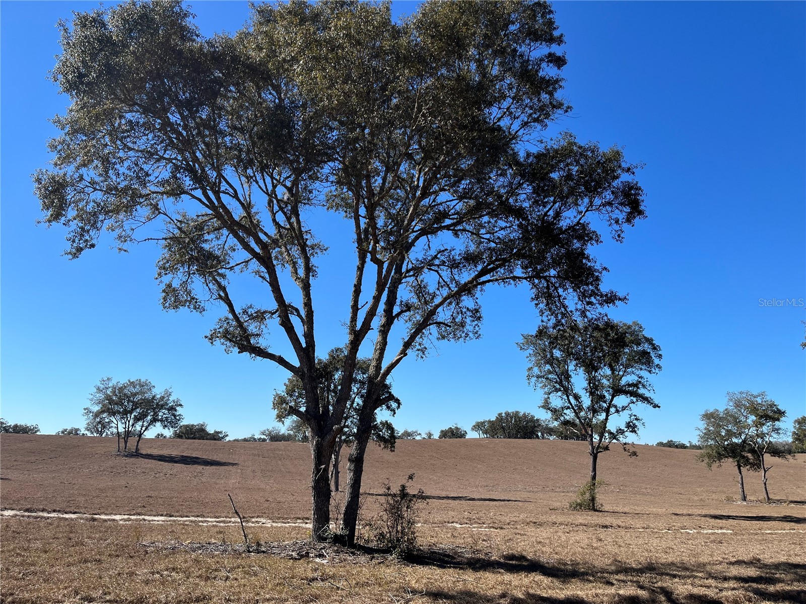 6920 SW 209th Avenue Dunnellon FL 34431 TB8488574 image32