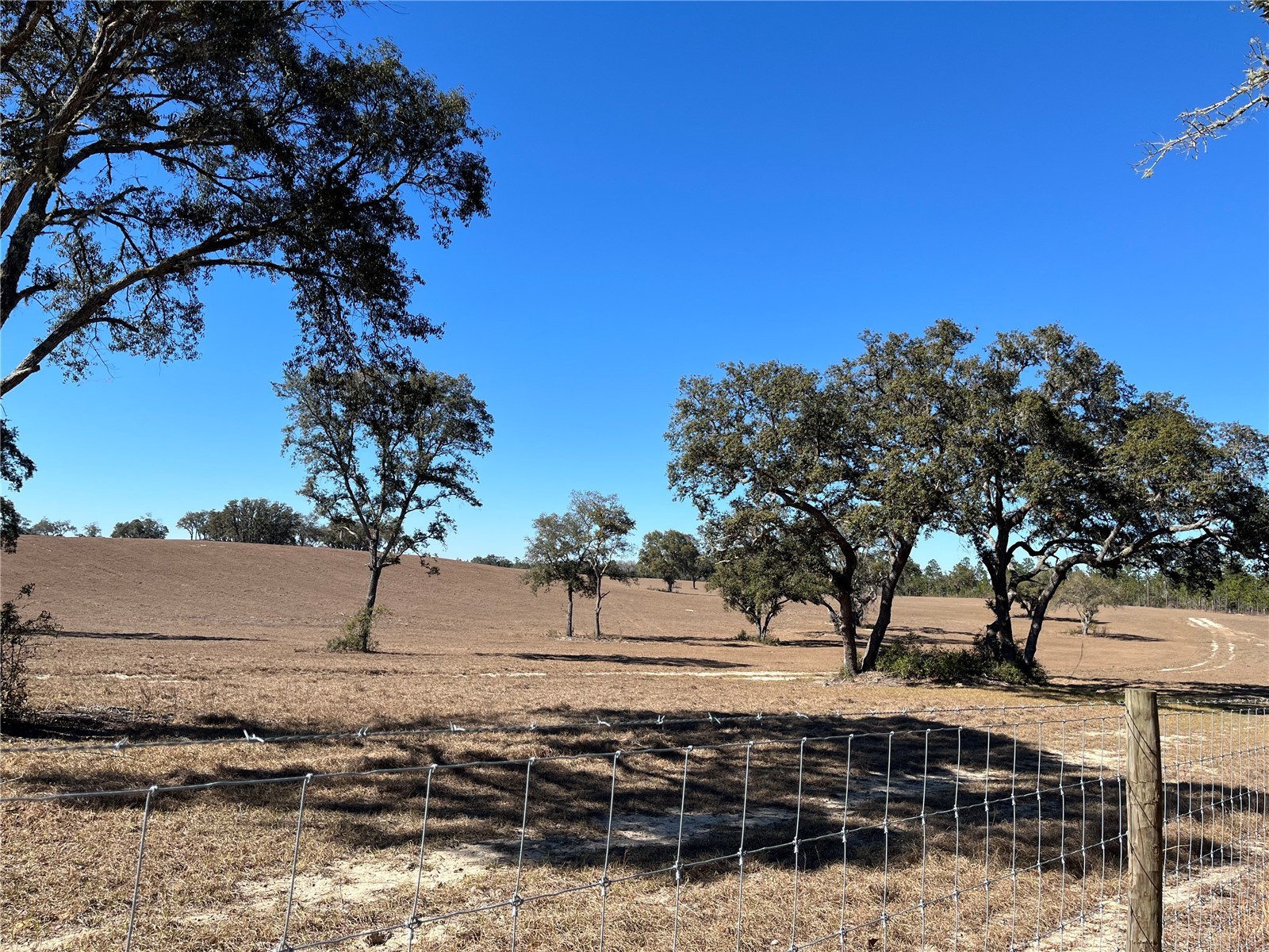 6920 SW 209th Avenue Dunnellon FL 34431 TB8488574 image33