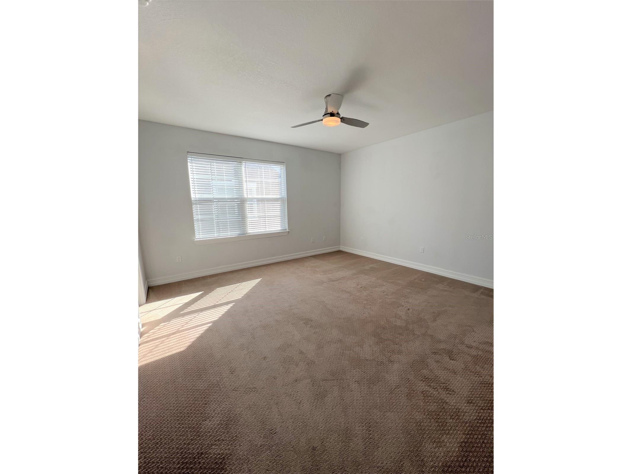 6921 Interbay Boulevard #5 Tampa FL 33616 TB8473092 image9