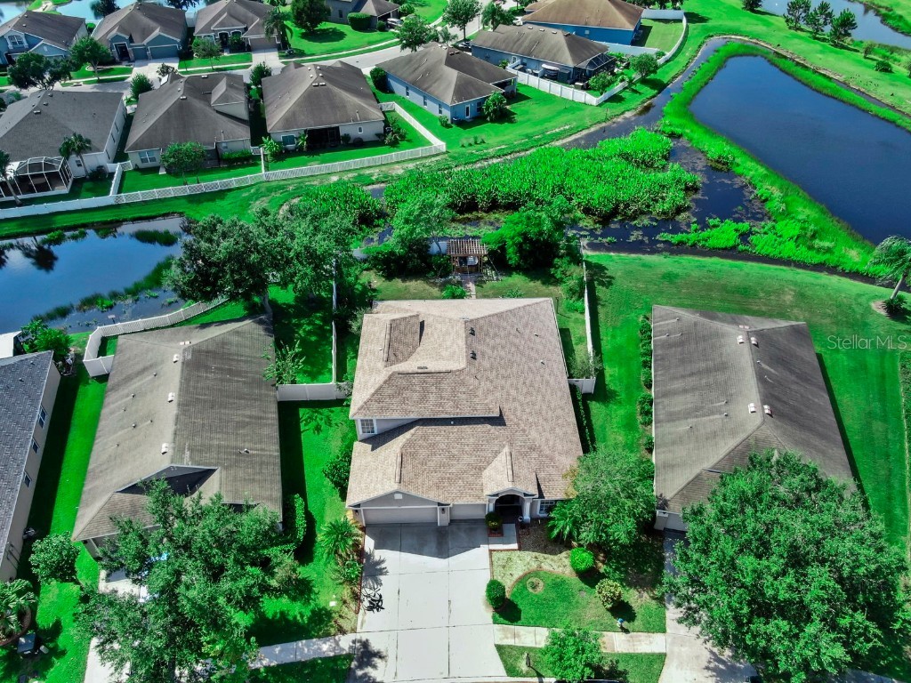 6921 Runner Oak Drive Wesley Chapel FL 33545 TB8428184 image2