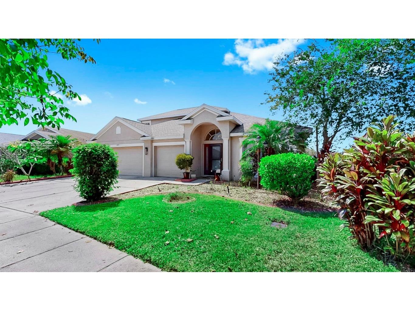 6921 Runner Oak Drive Wesley Chapel FL 33545 TB8428184 image24