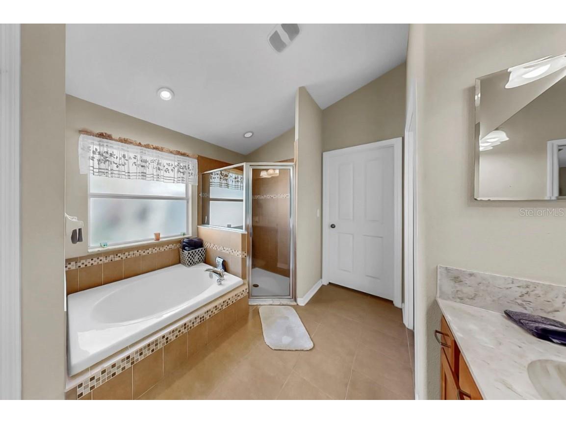 6921 Runner Oak Drive Wesley Chapel FL 33545 TB8428184 image27