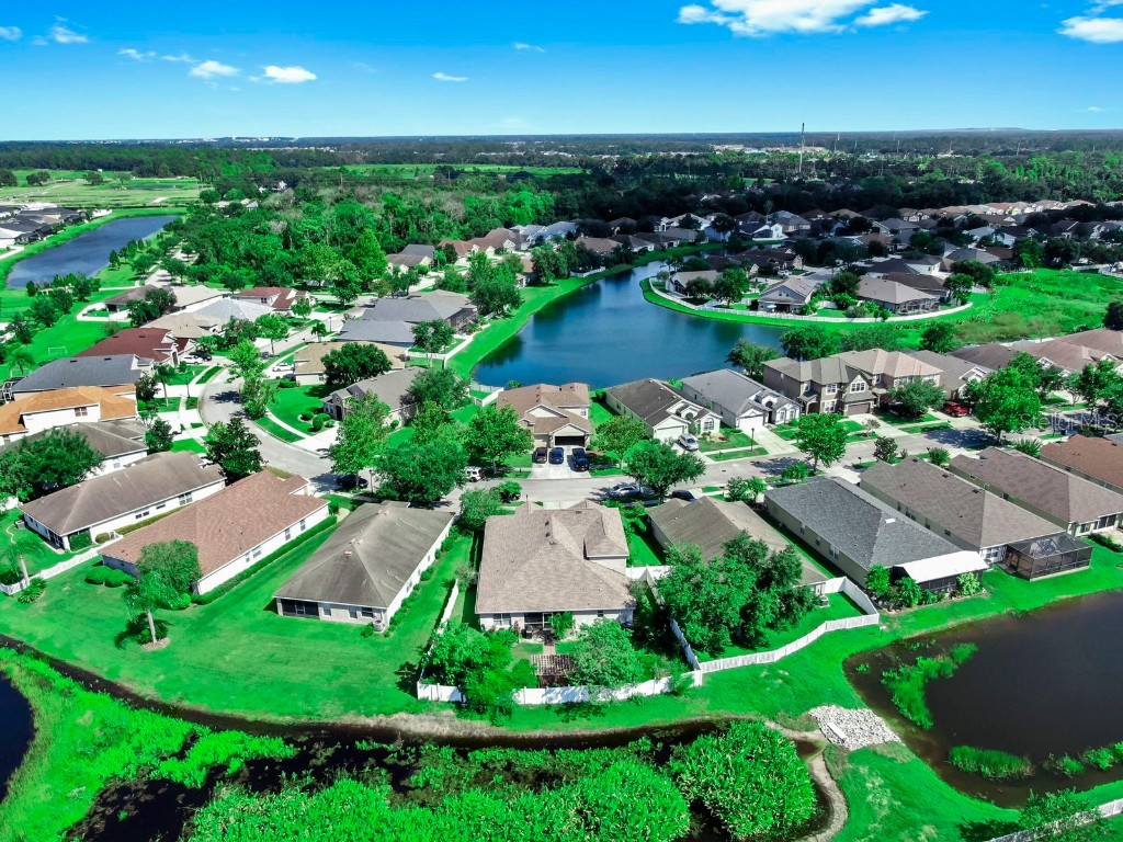 6921 Runner Oak Drive Wesley Chapel FL 33545 TB8428184 image3