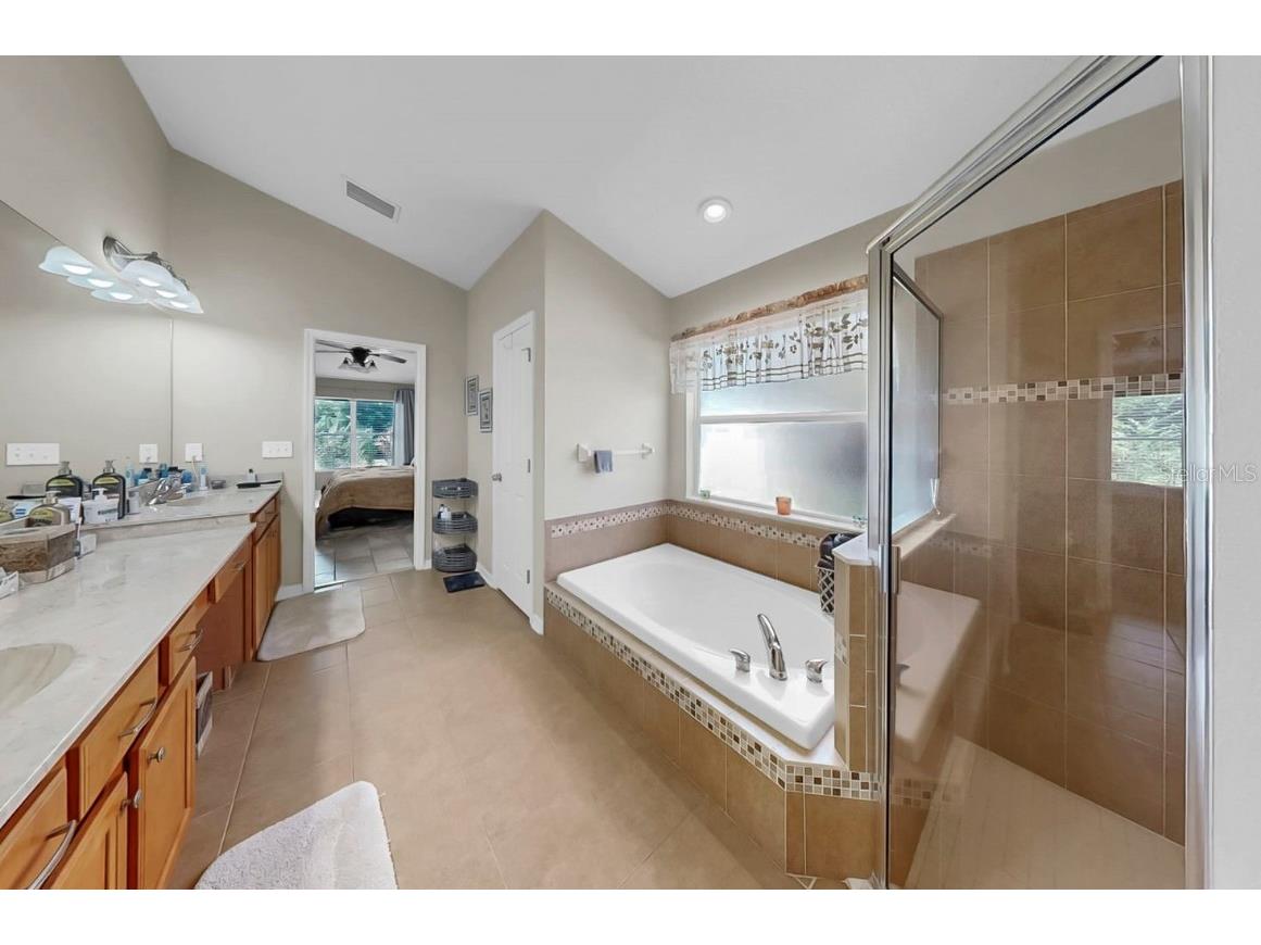 6921 Runner Oak Drive Wesley Chapel FL 33545 TB8428184 image9