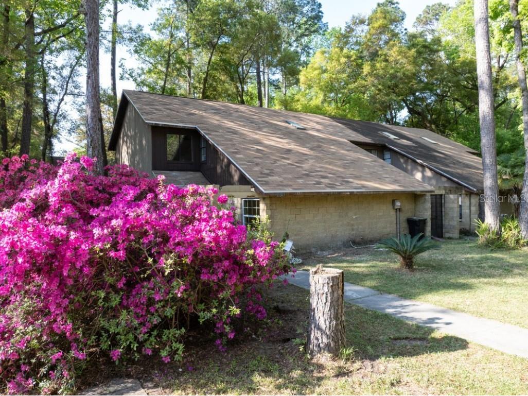6921 SW 45th Avenue Gainesville FL 32608 A4604099 image1
