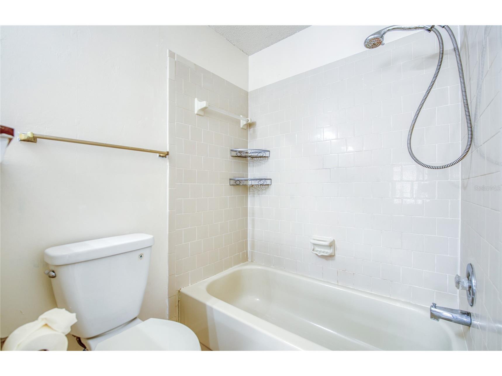 6922 Silvermill Drive Tampa FL 33635 TB8501780 image28